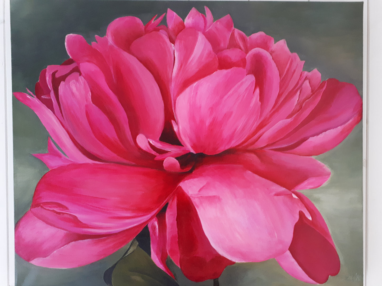 Pink peony, 50x60cm