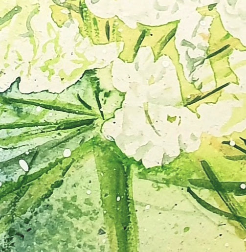 Watercolor ´Wild carrot´, 15x22cm