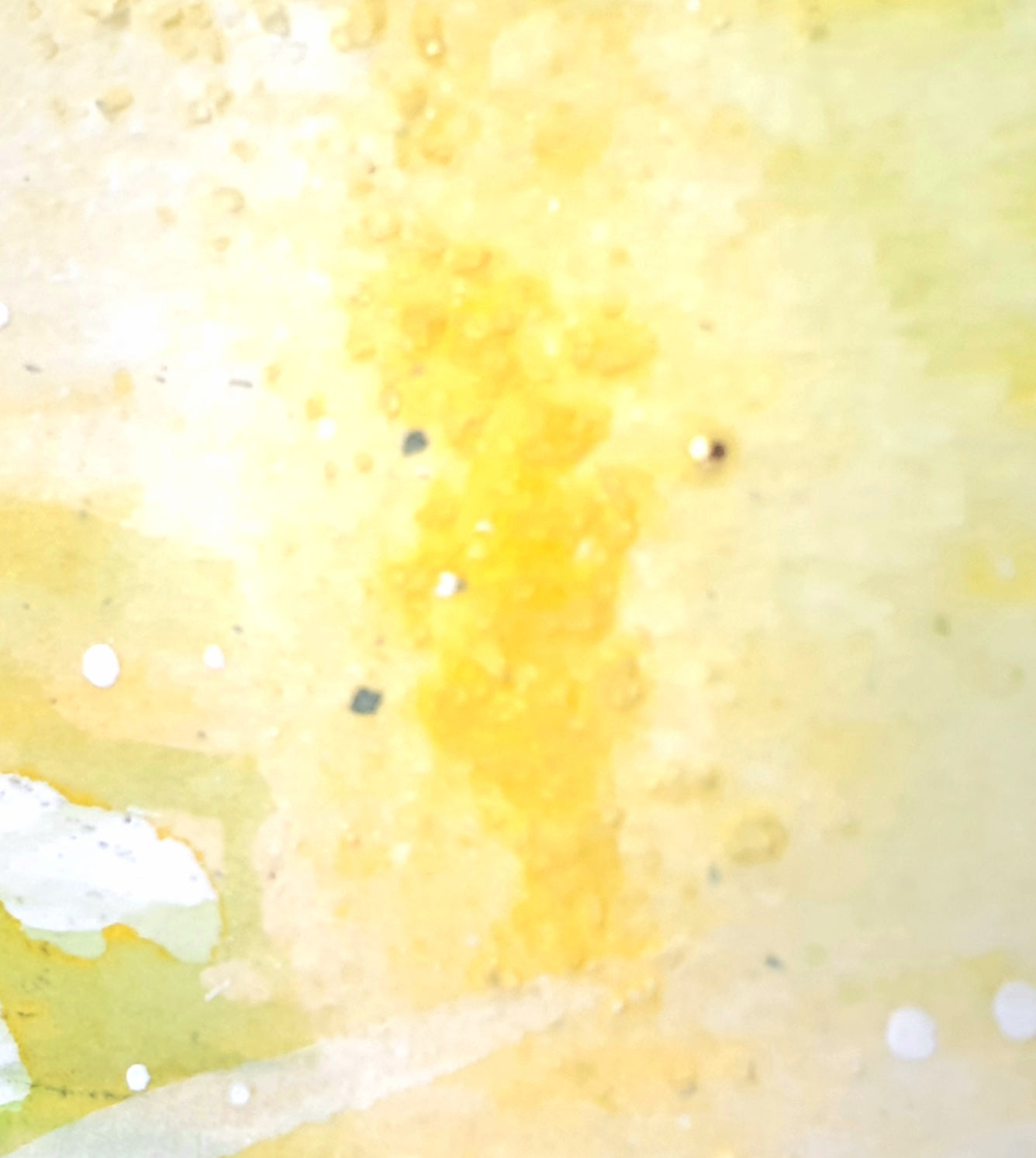 Watercolor ´Wild carrot´, 15x22cm