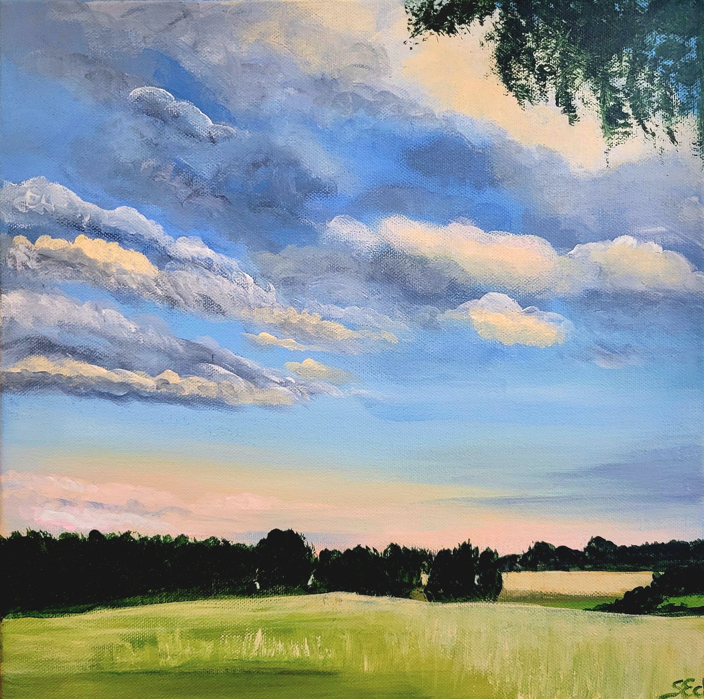 Eifel Evening Glow, 30x30cm