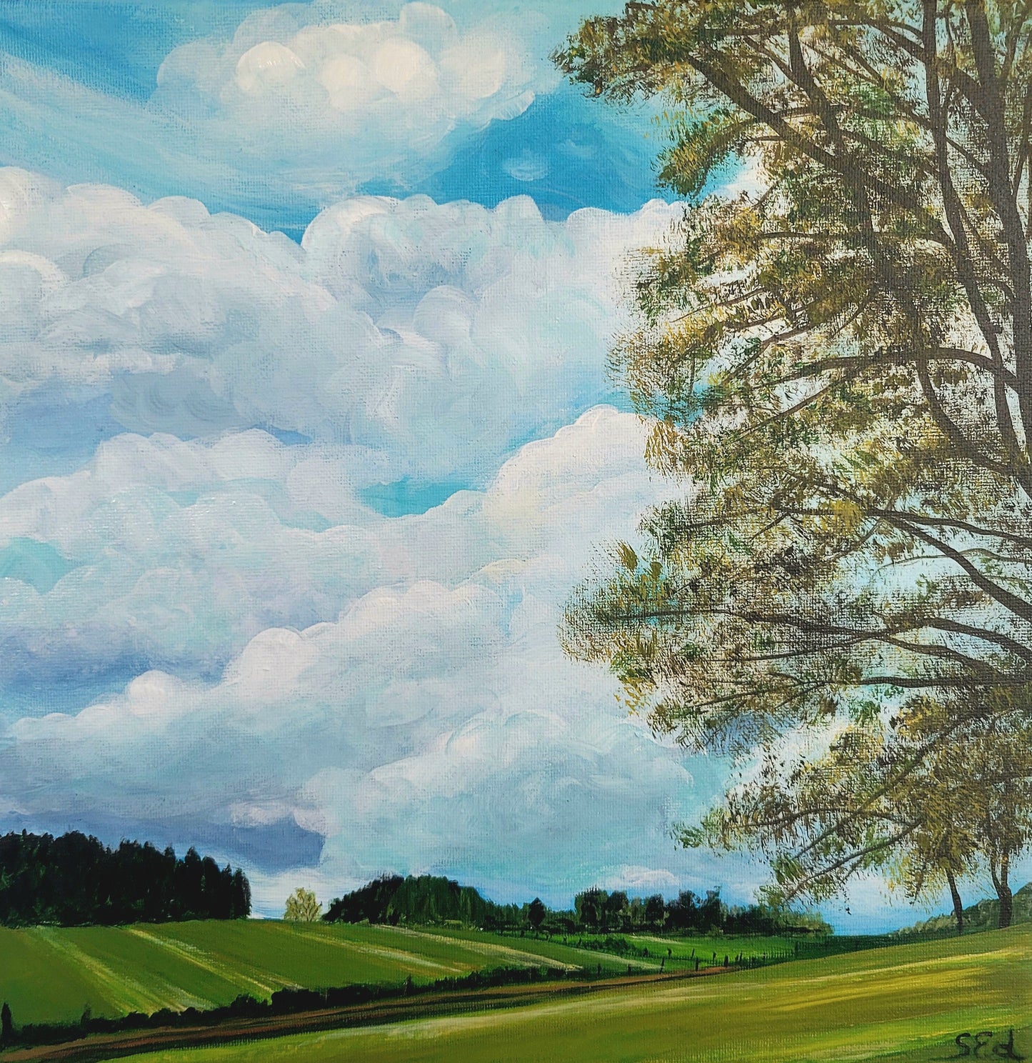 ´Childhood memories´, (Eifeler landscape III) 30x30cm