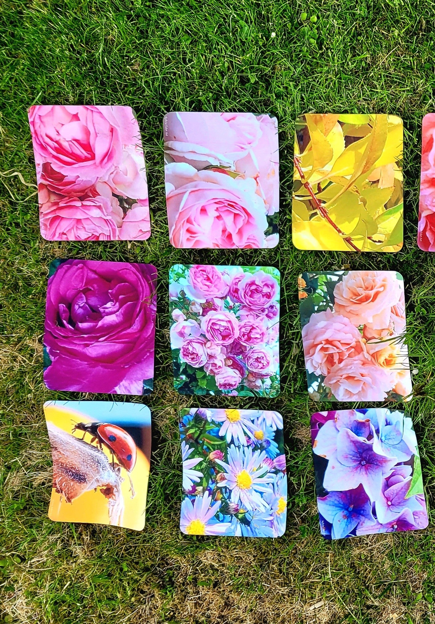 Alfombrillas de ratón, 18x22 cm