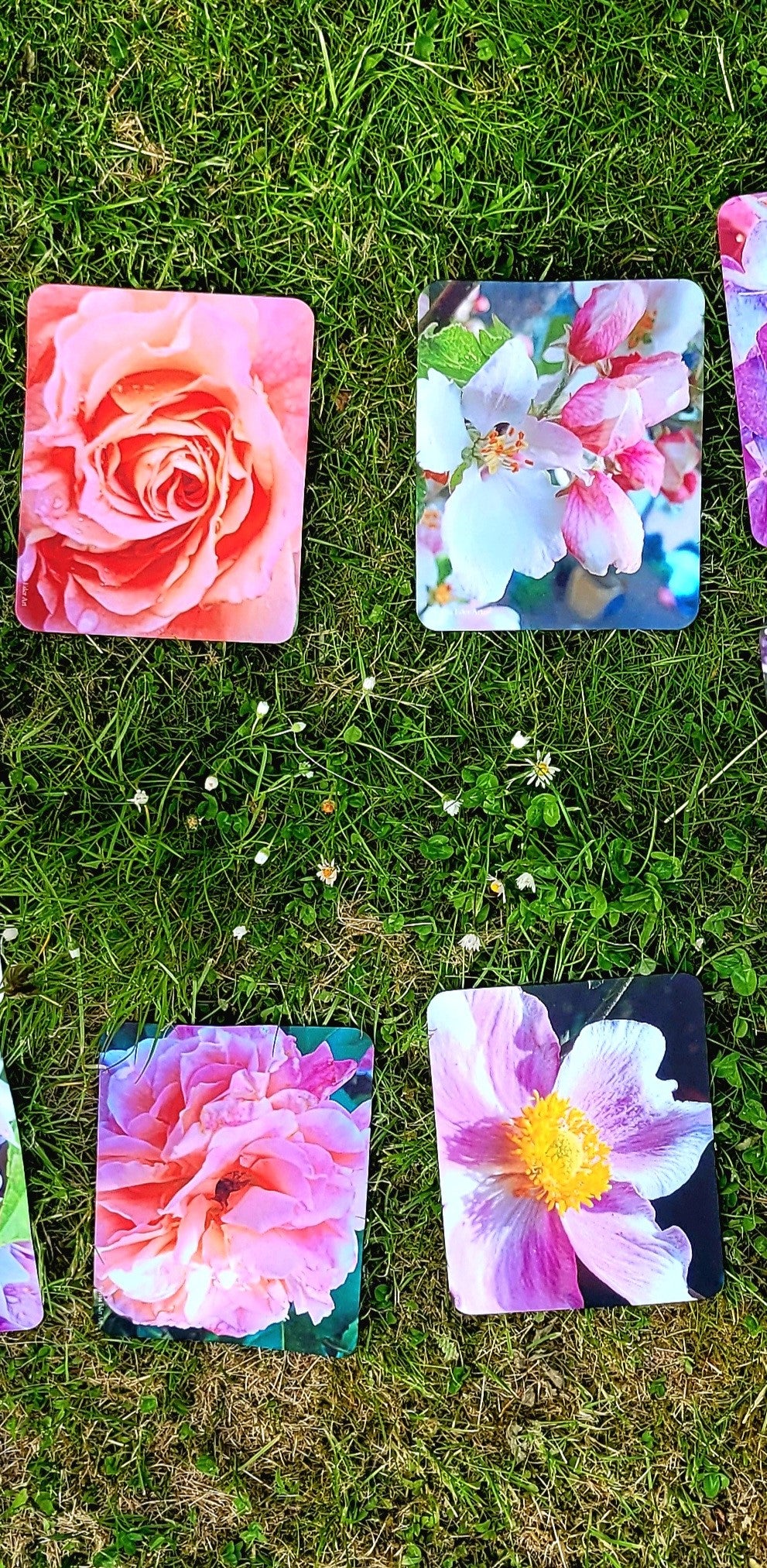 Alfombrillas de ratón, 18x22 cm