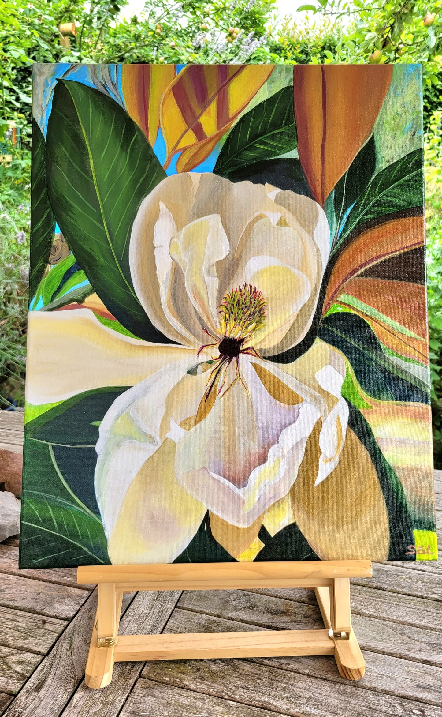 Magnolia on Oak Ridge Road, 50x40 cm (20x15 in)