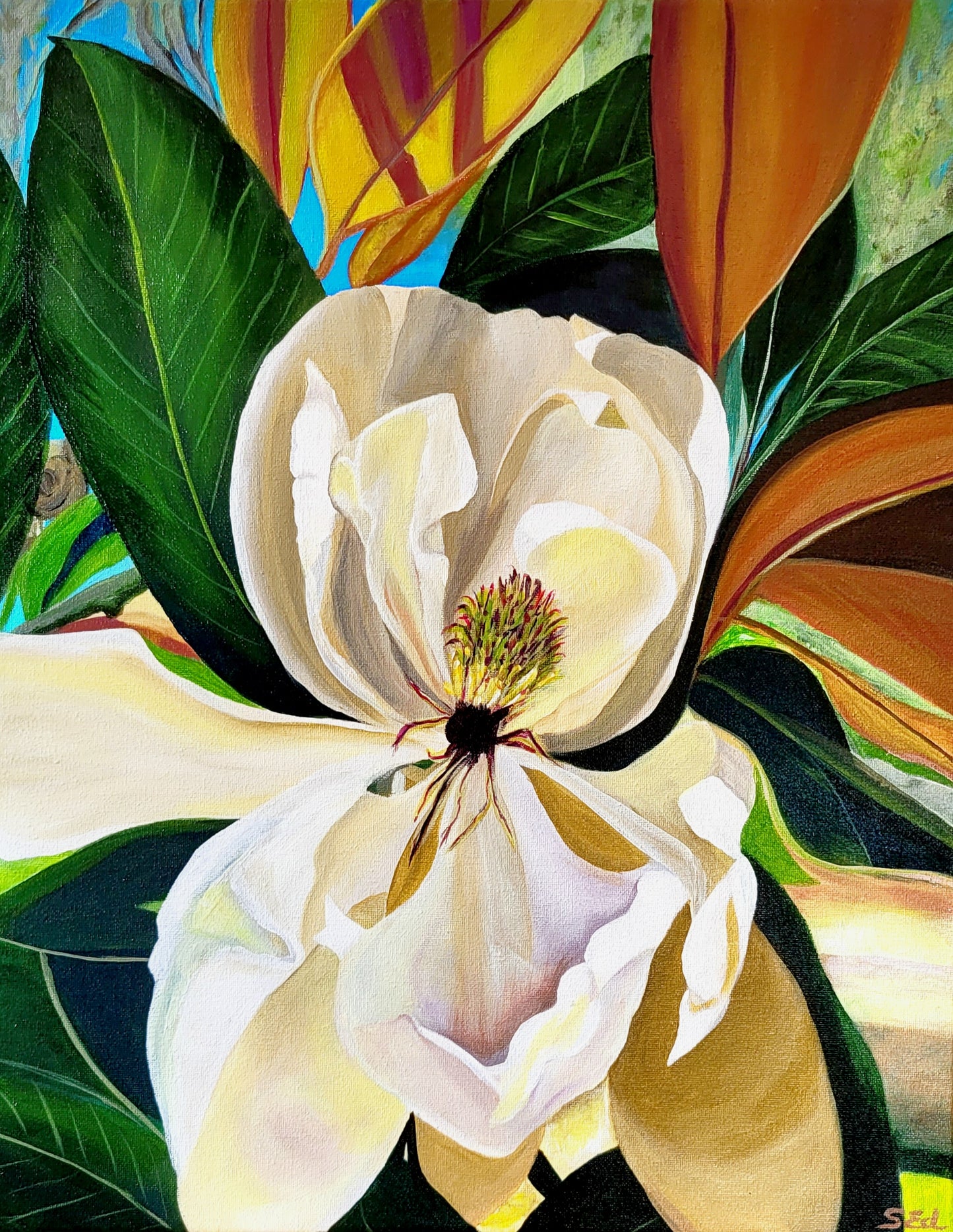 Magnolia on Oak Ridge Road, 50x40 cm (20x15 in)