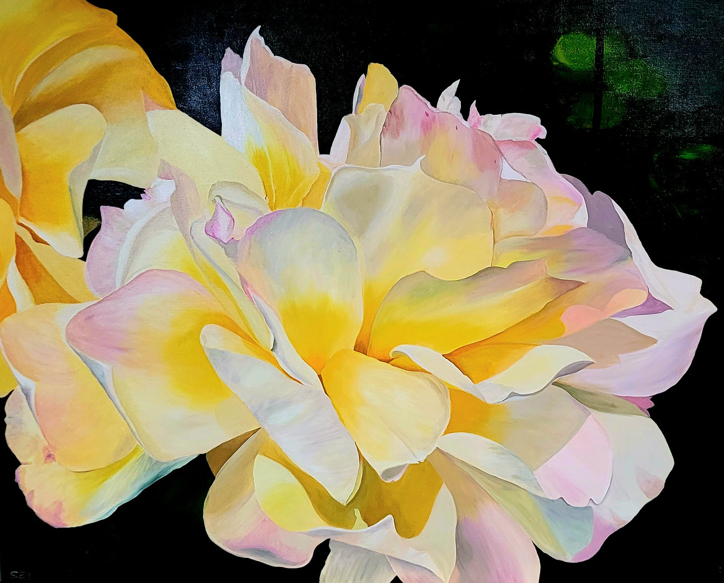 Yellow rose, Print, A4