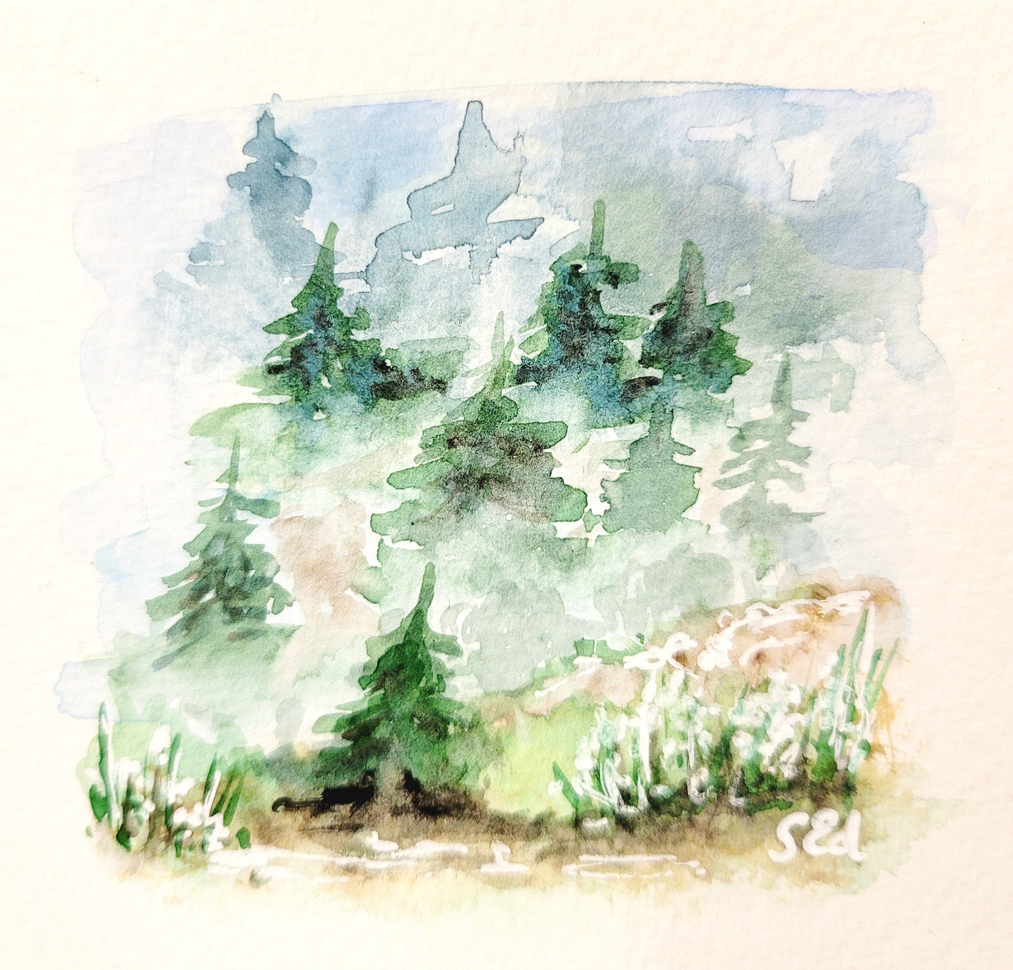 Misty fir trees, 10x10cm print