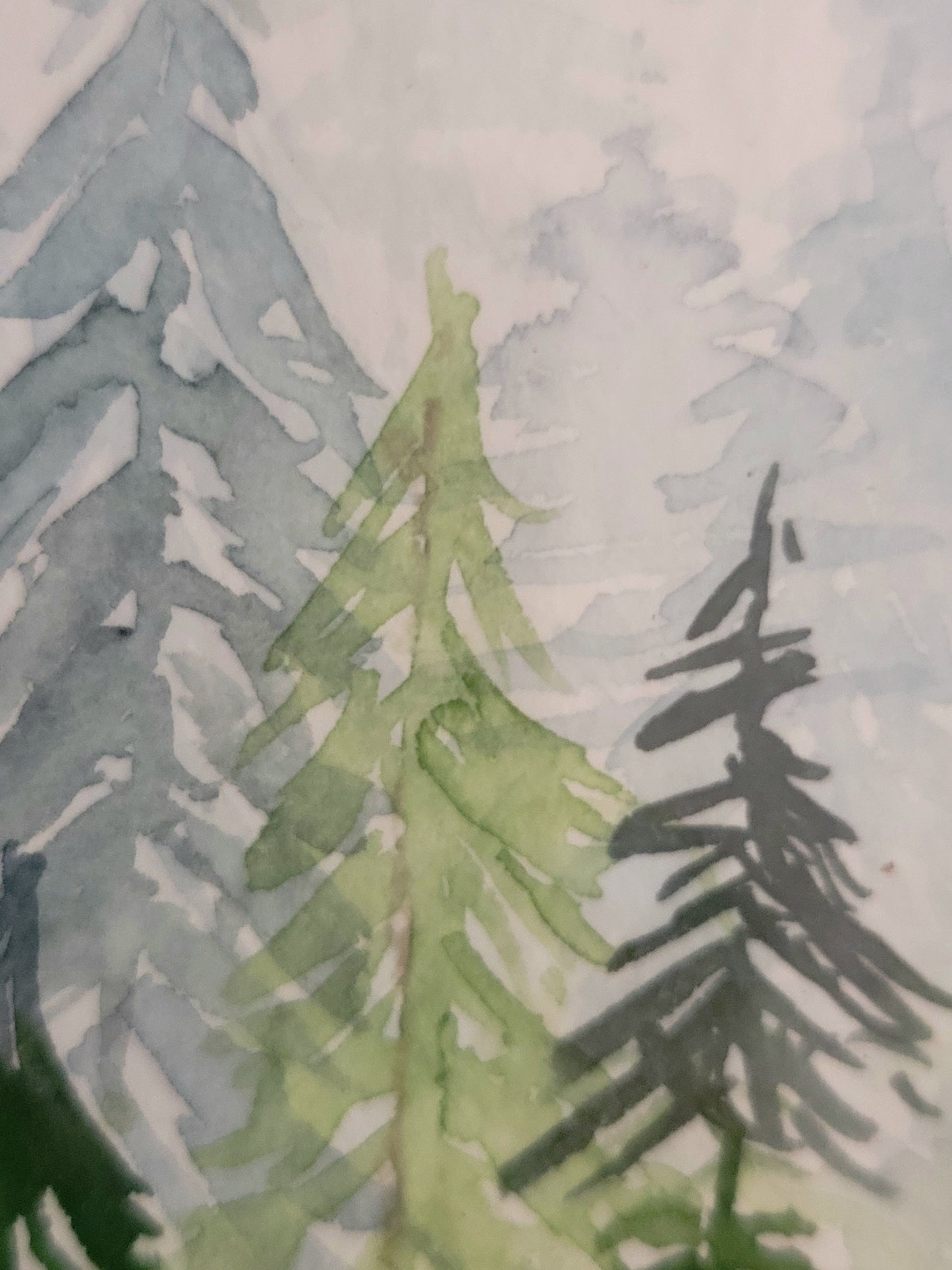 Waterolor, ´Green fir trees in the mist´, 13x18cm