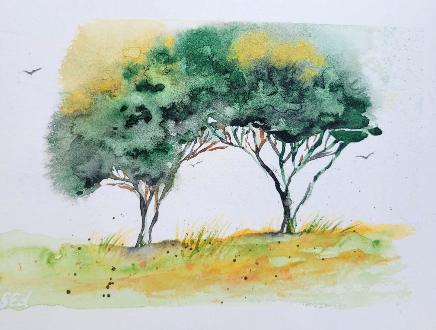 Watercolor ´Kindred pines´, 13x18cm