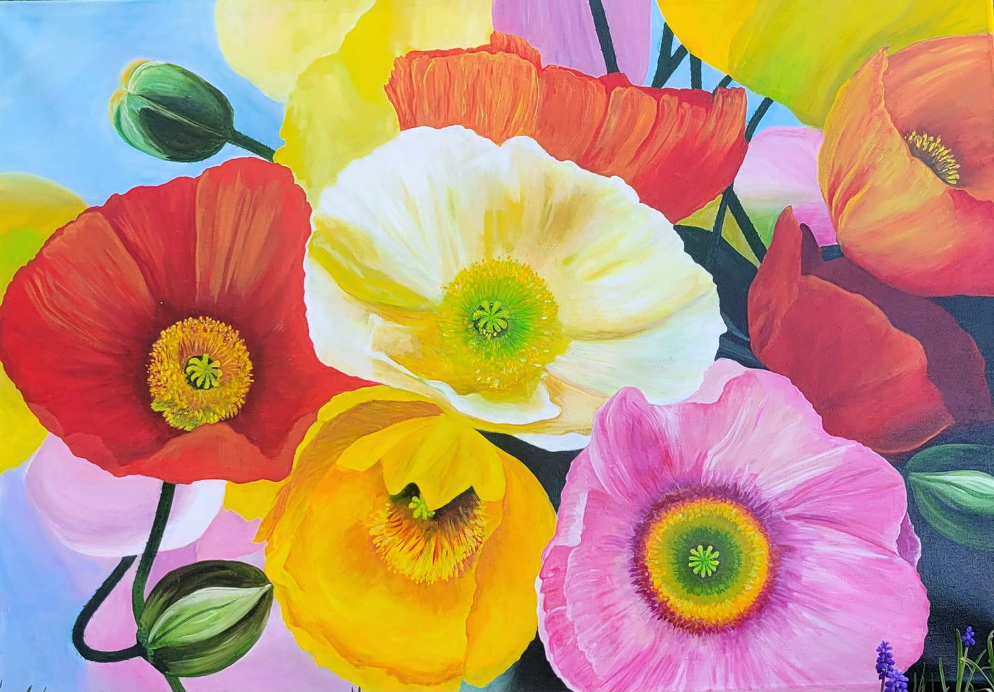 poppies paradise, 70x100cm