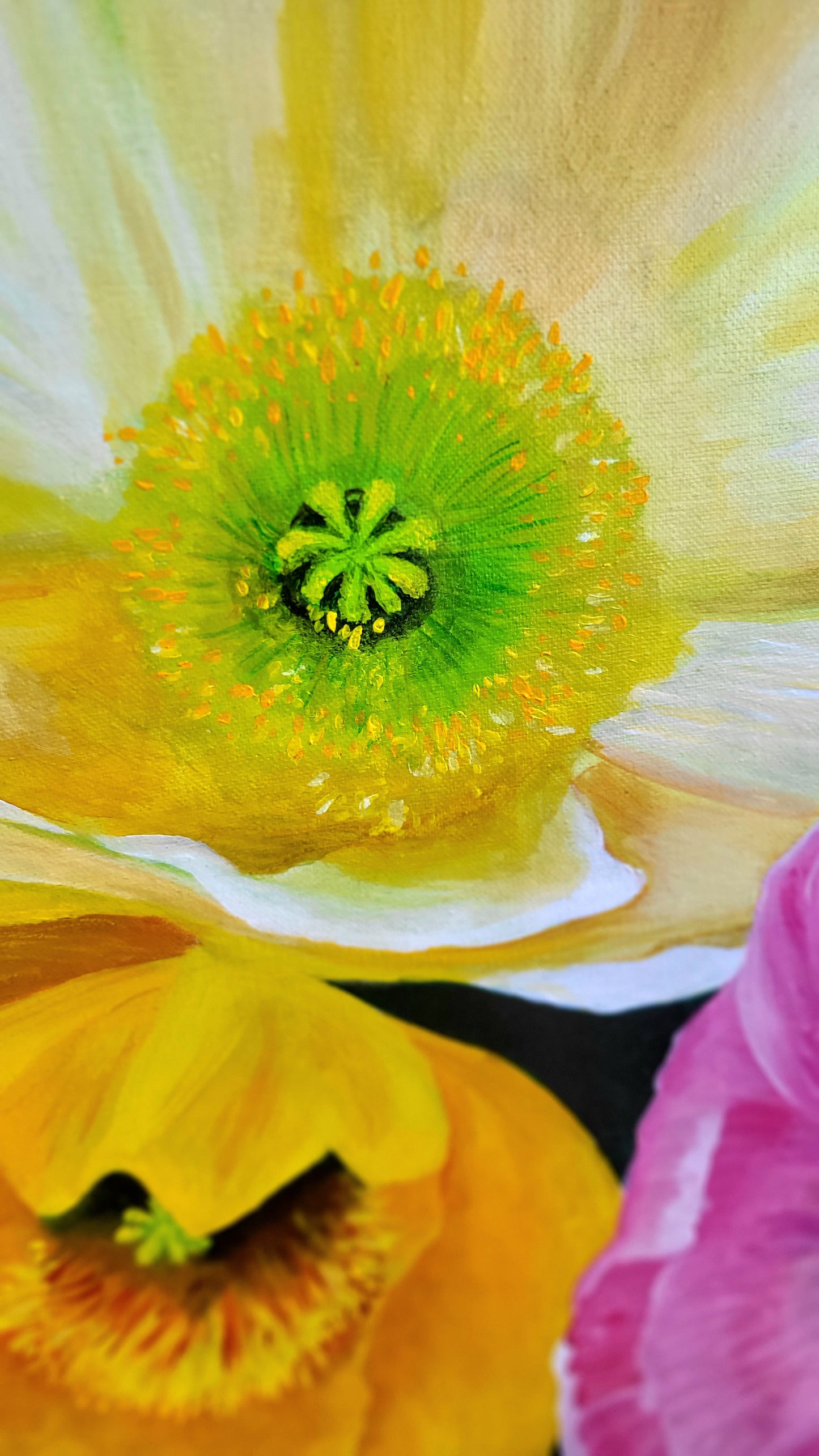 poppies paradise, 70x100cm