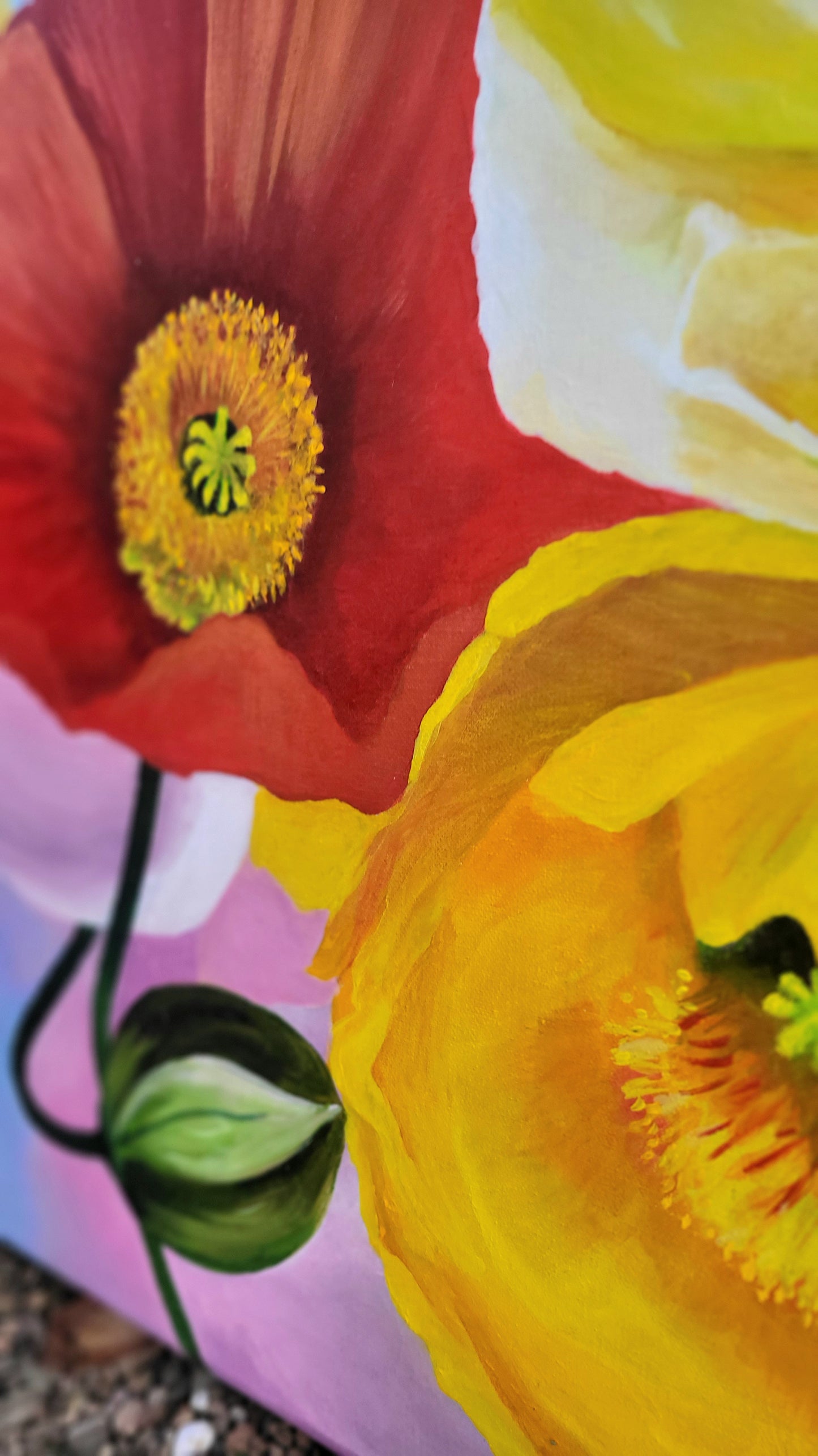 poppies paradise, 70x100cm