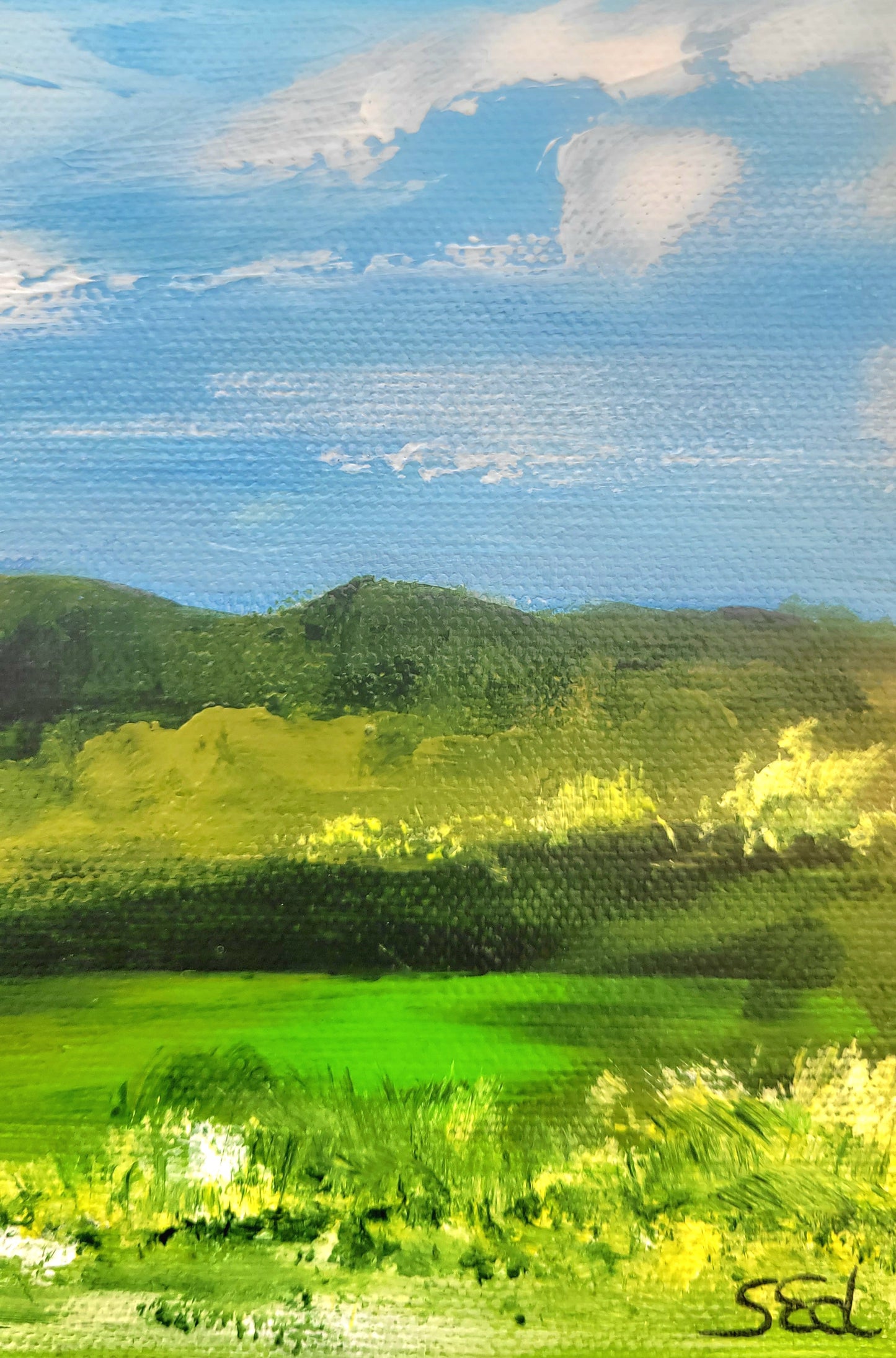 Von der Nürburg nach Blankenheim, 30x30cm