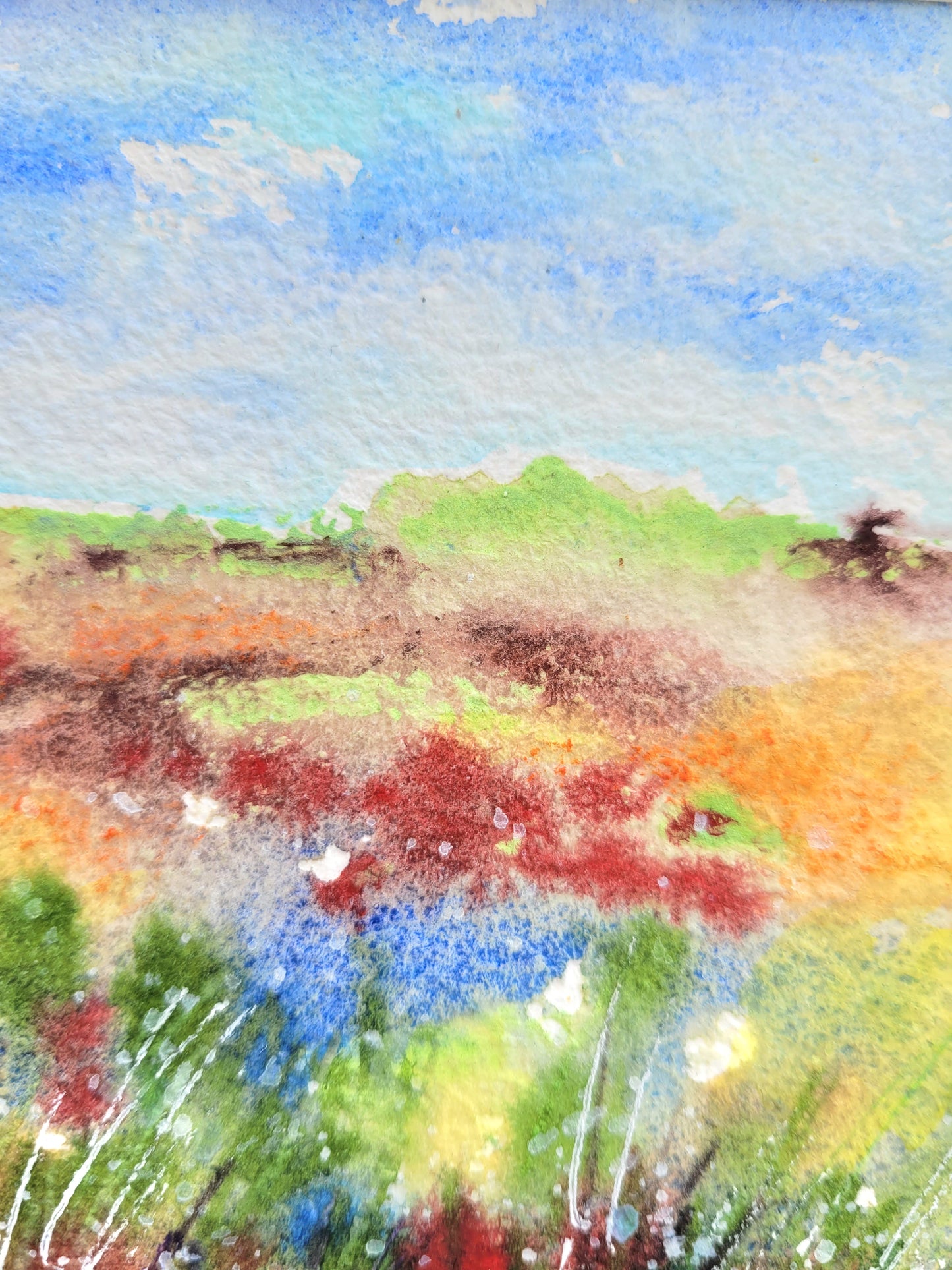 Aquarell ´Im Hohen Venn´, 18x13 cm „Zwischen Heideblüte und Himmelsrand: ein Weg durchs Hohe Venn.“