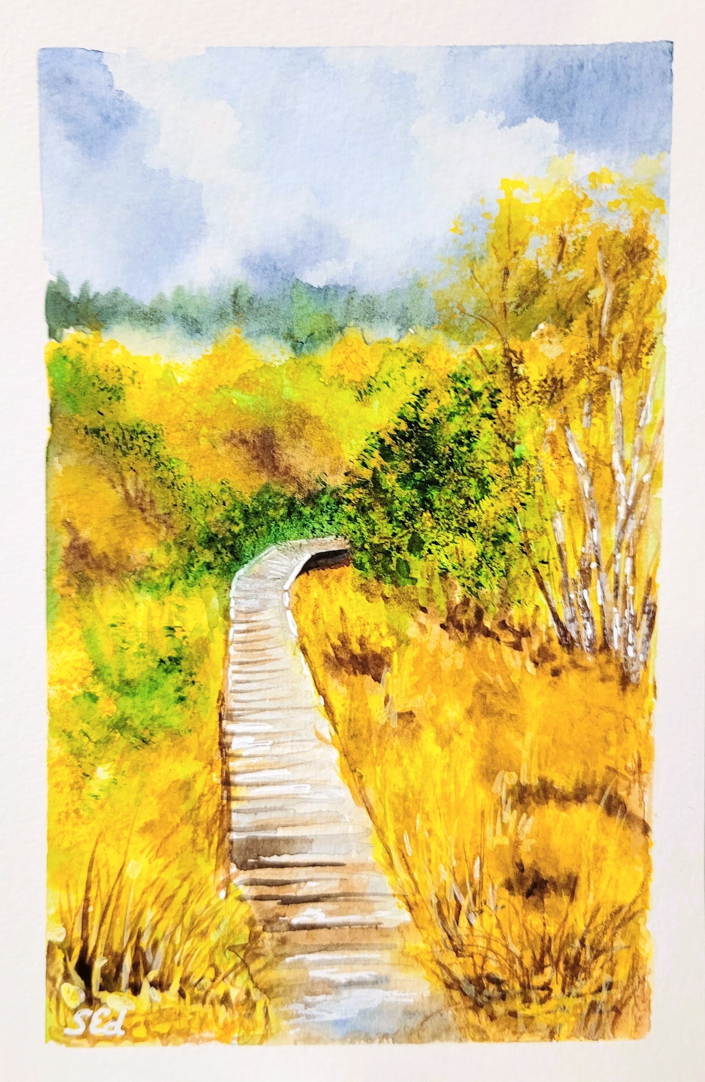 Watercolor ´Walk in the moors´, 13x18cm