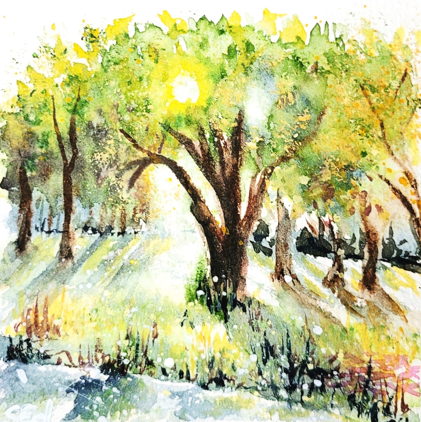 Watercolor ´Sun in the trees´, 12x12cm