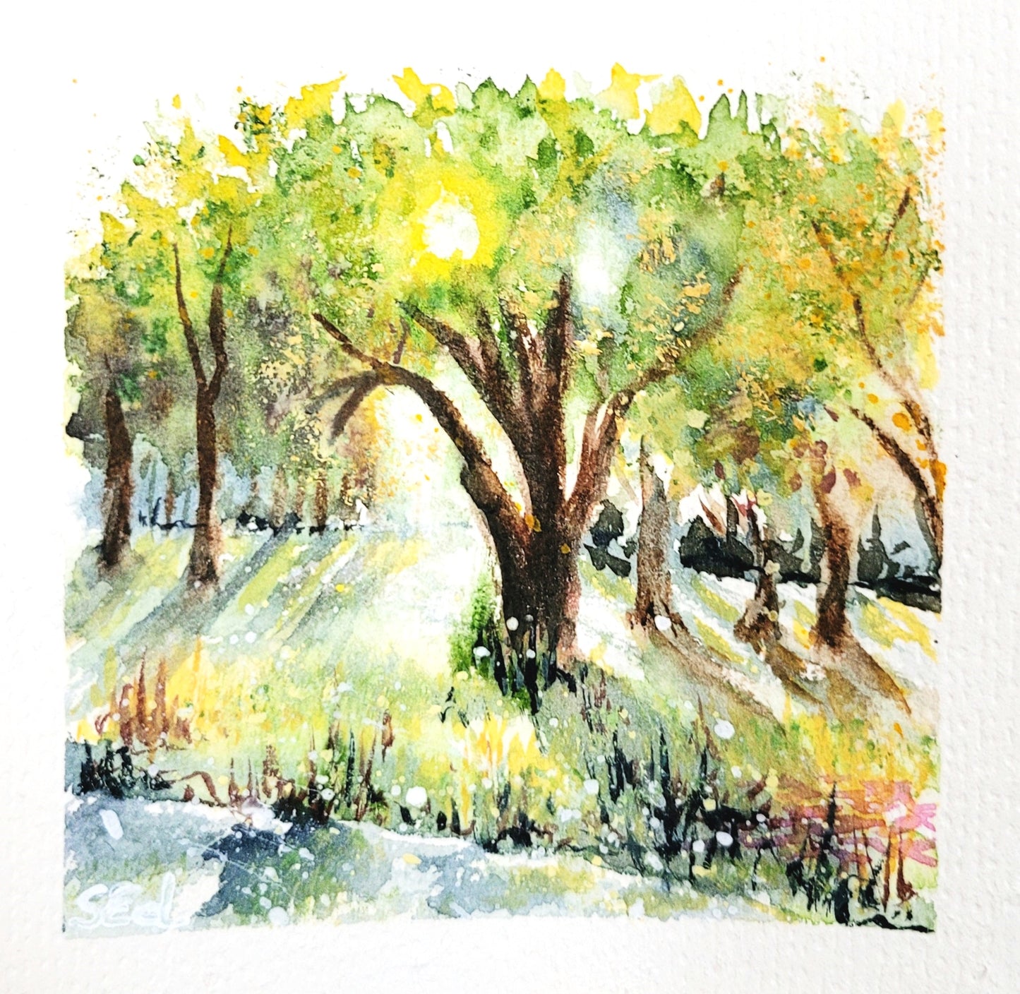 Watercolor ´Sun in the trees´, 12x12cm