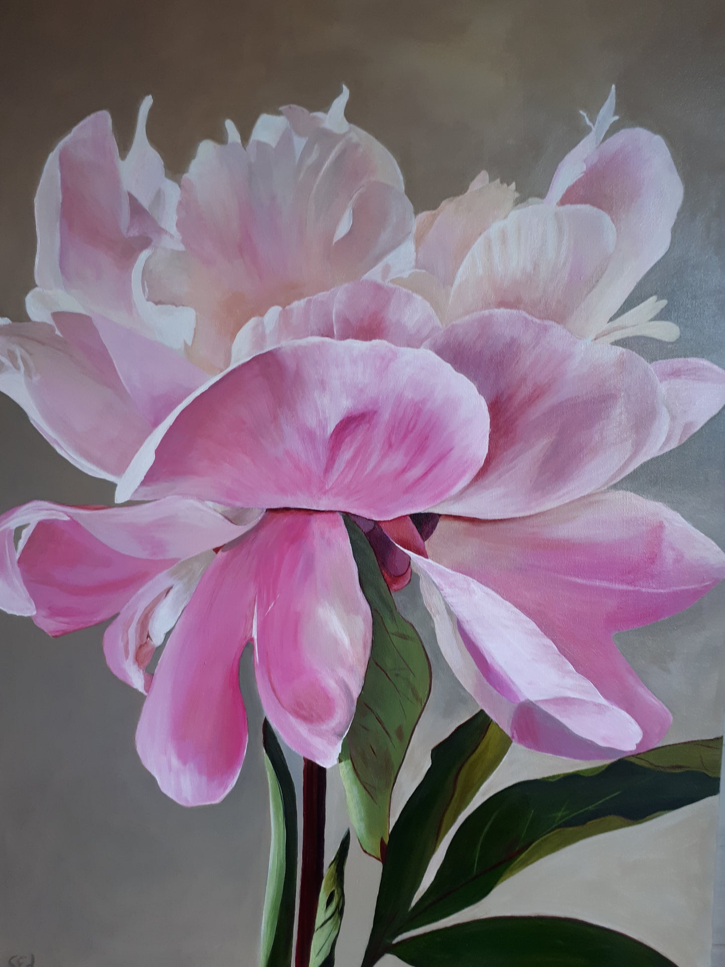Tender pink peony, 80x60 cm
