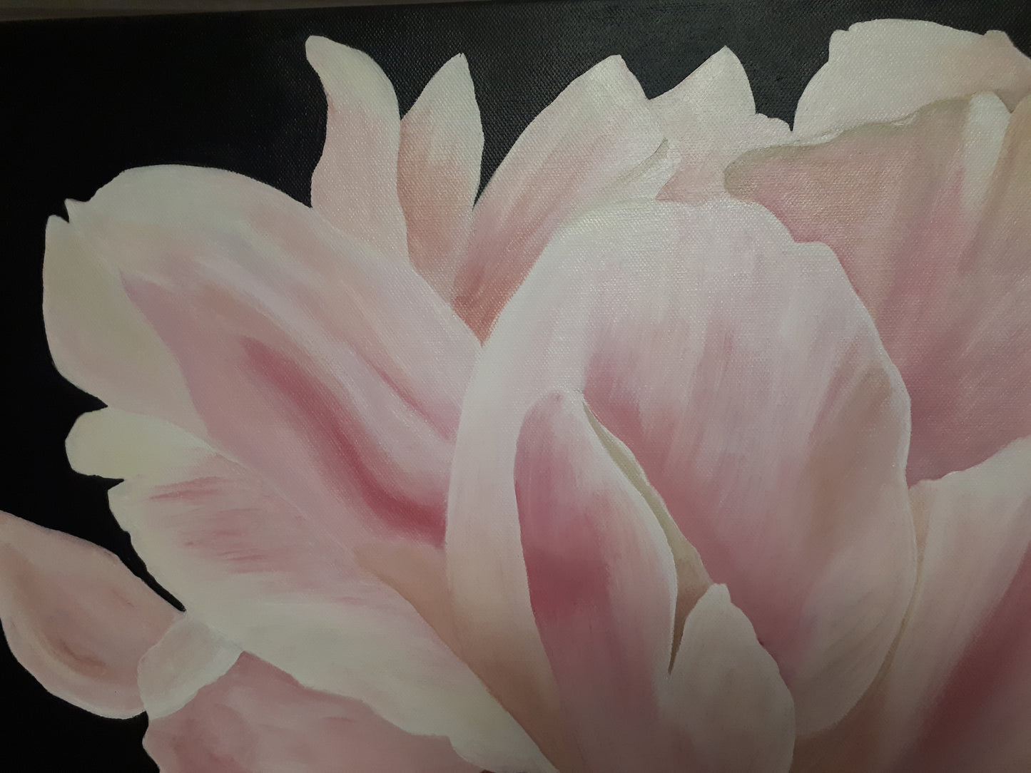 Soft pink peony, 60x80 cm