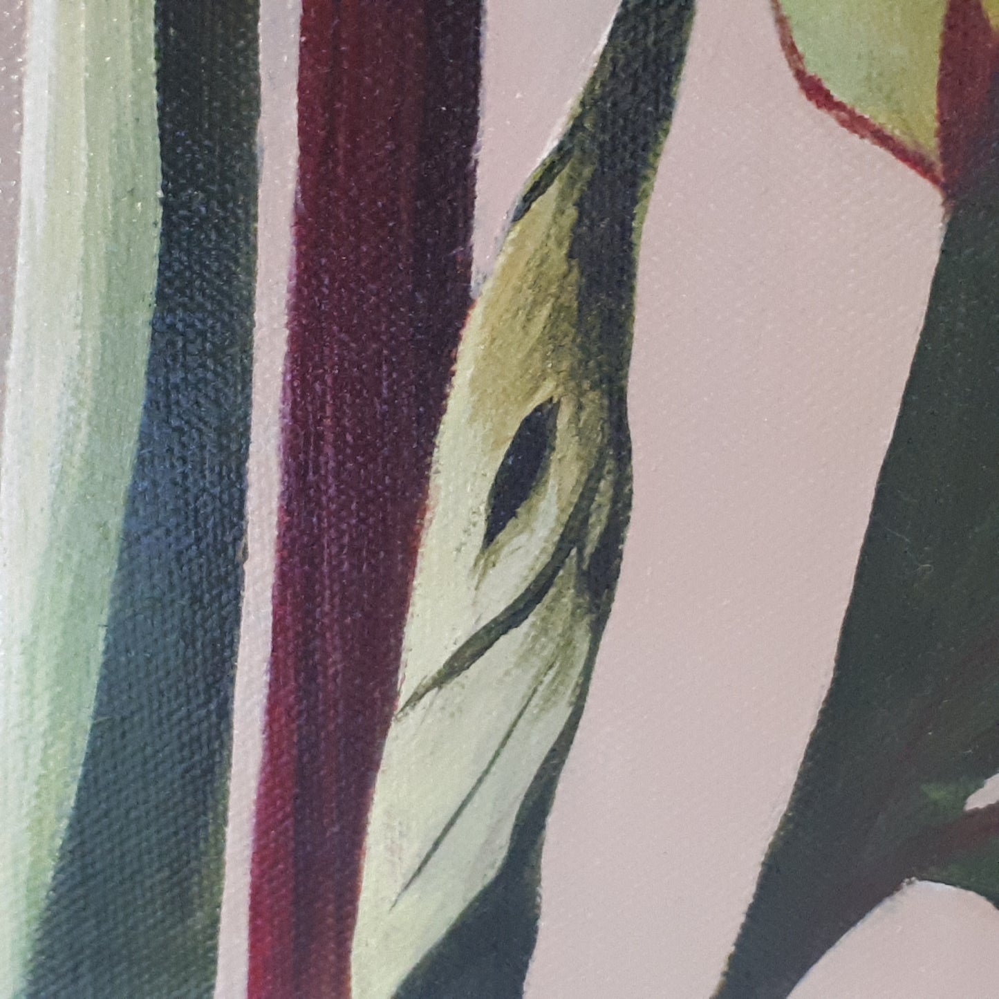 Tender pink peony, 80x60 cm