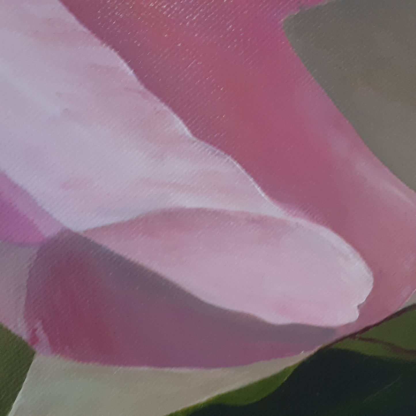 Tender pink peony, 80x60 cm