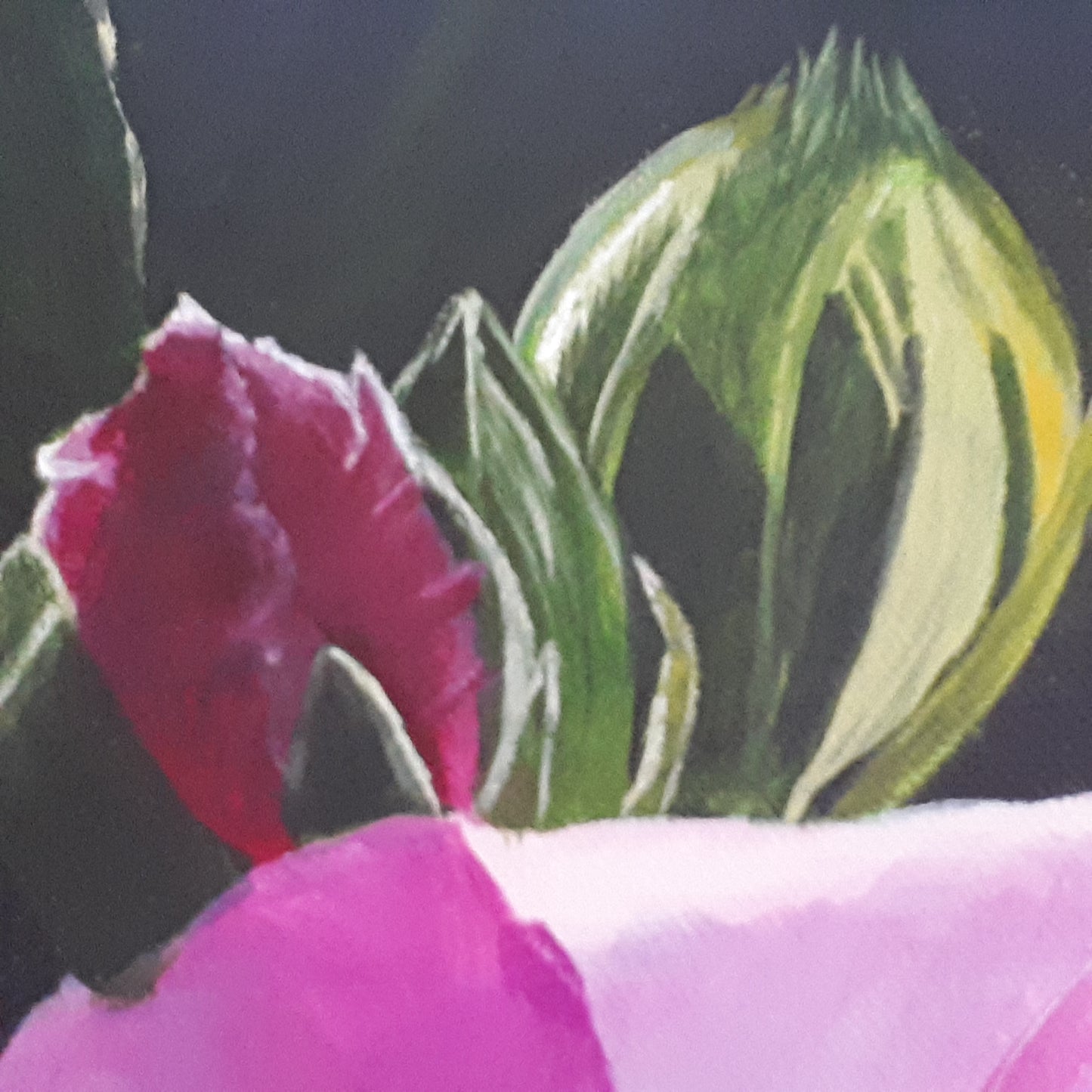 'Sueño de hibisco', 50x70cm