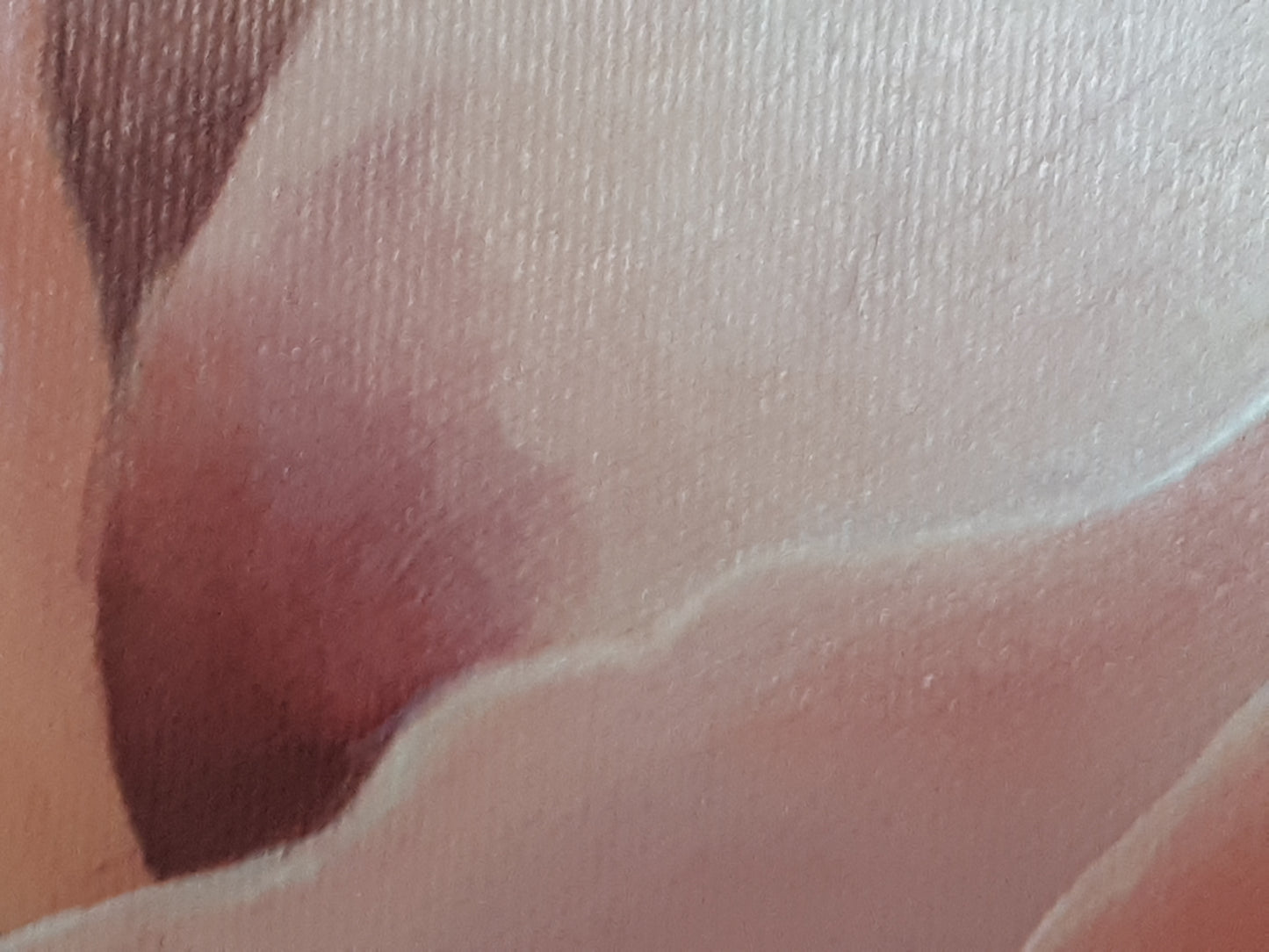 Rose café au lait, 50x70cm