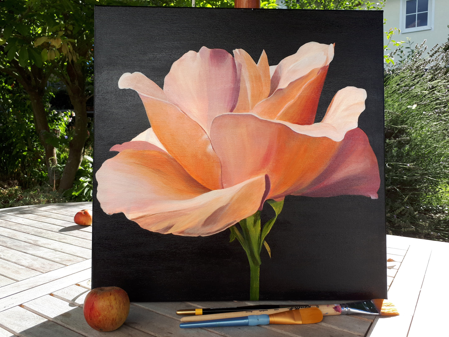 Peachy rose, 50x50cm