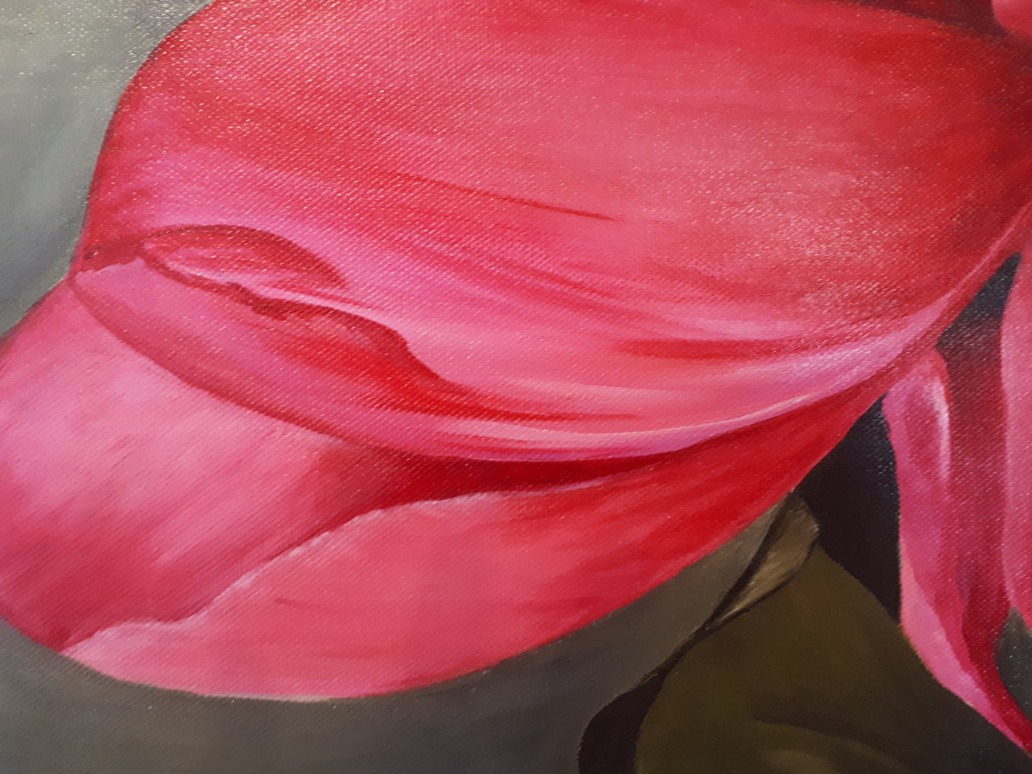 Pink peony, 50x60cm