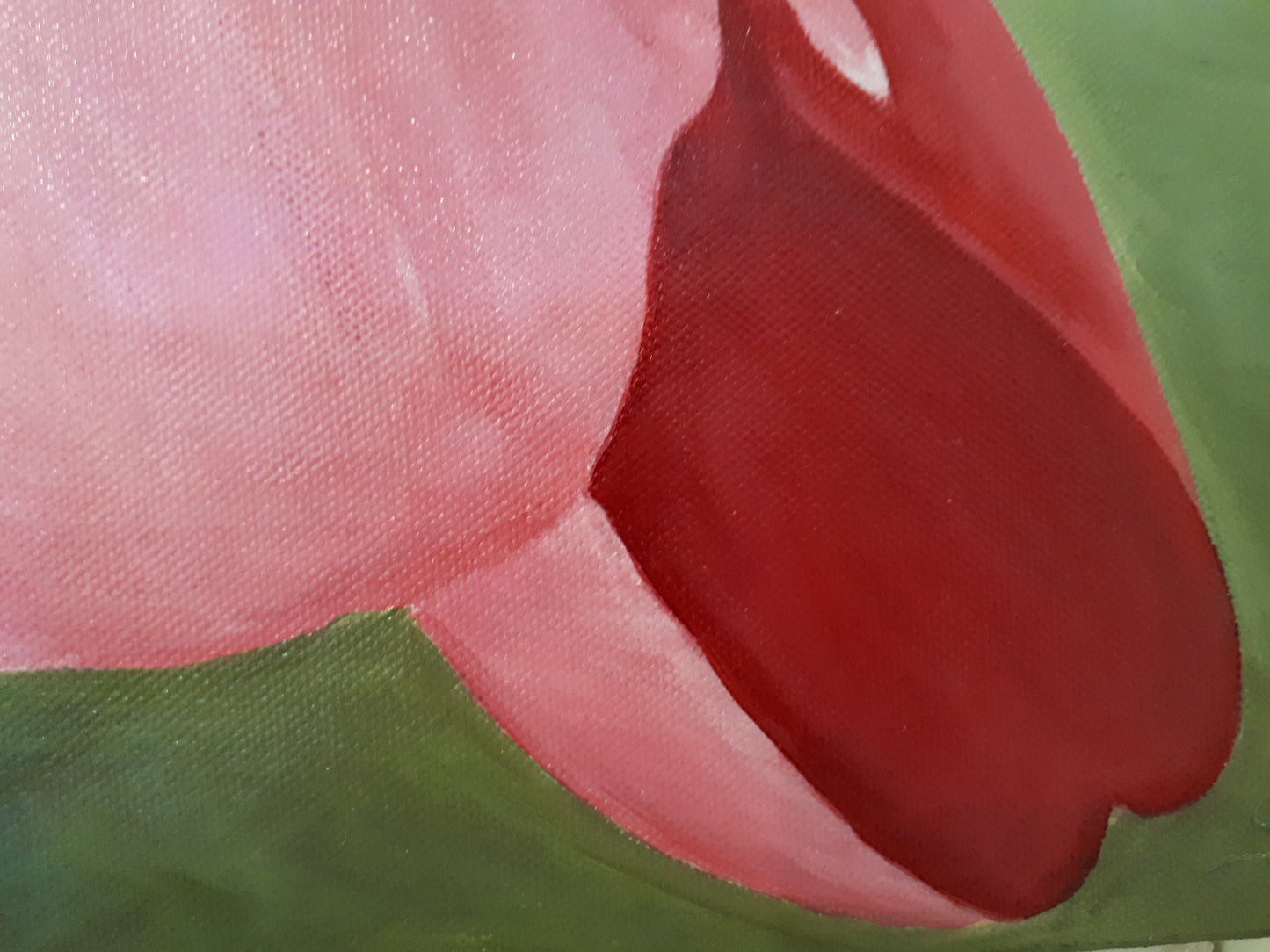 Pink peony, 50x60cm
