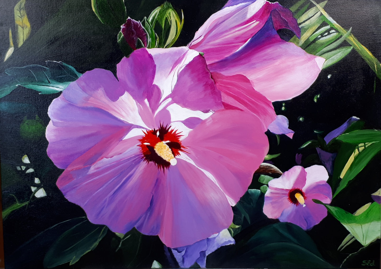 'Sueño de hibisco', 50x70cm