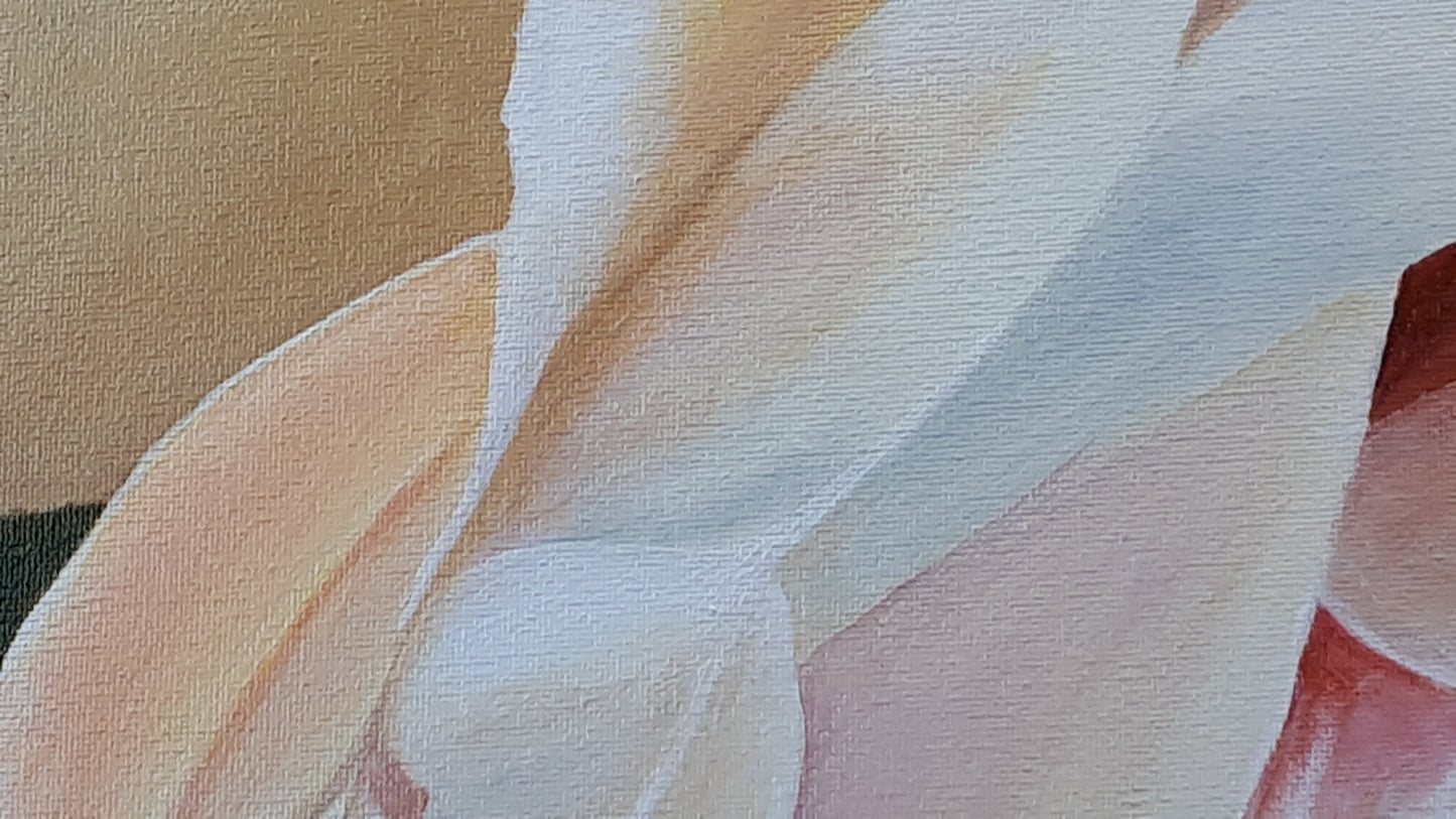 Cream blush rose, 50x50 cm
