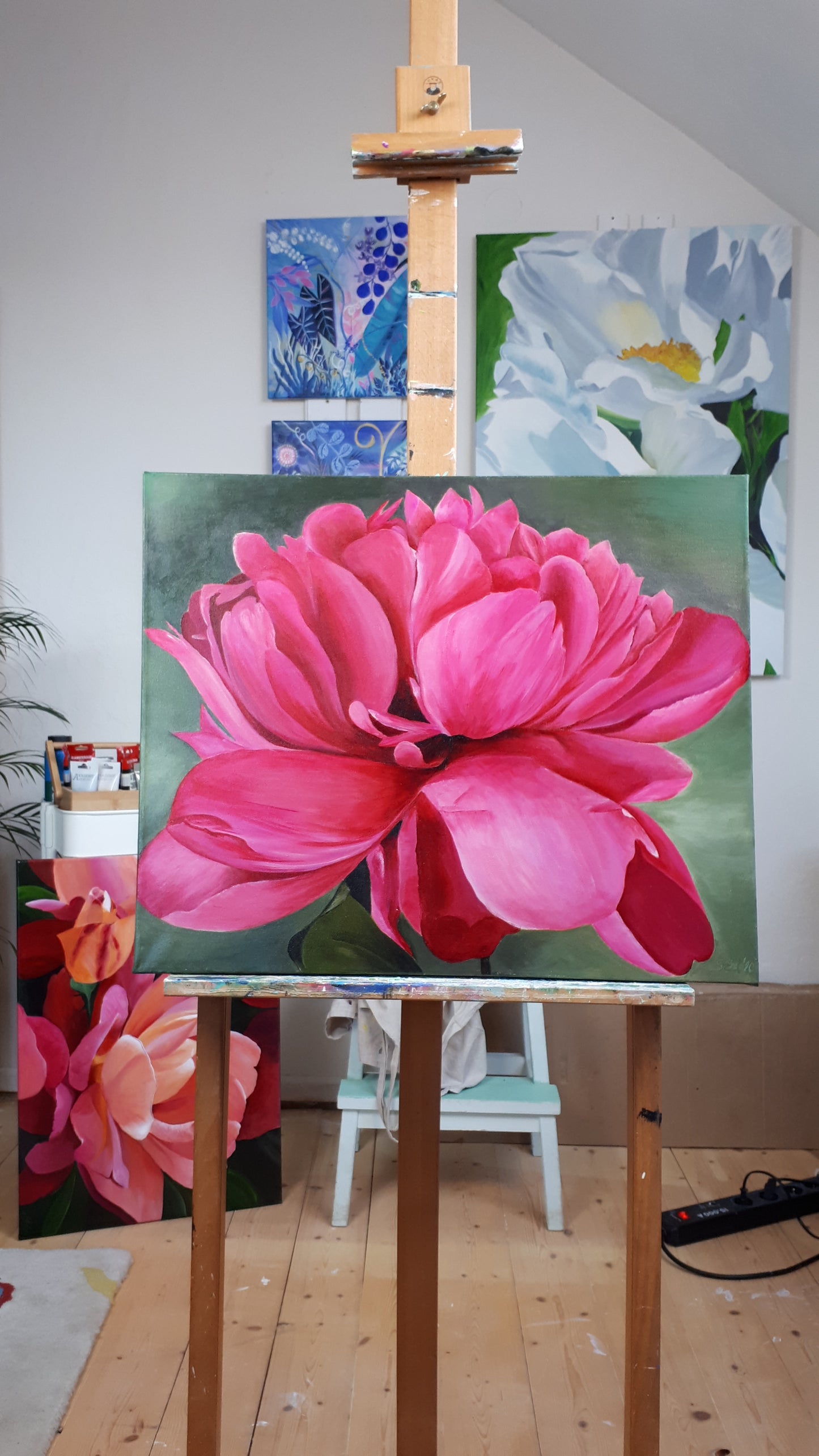 Pink peony, 50x60cm
