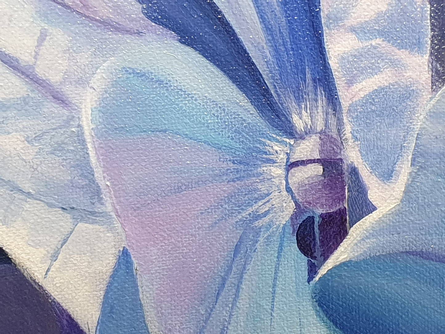 Light on blue Hydrangea, 60x80 cm