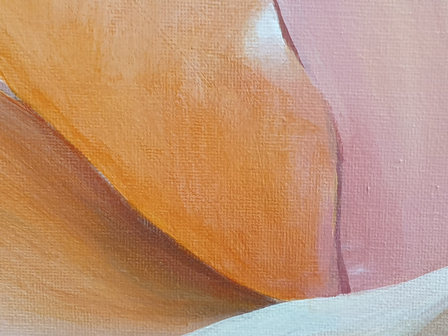 Peachy rose, 50x50cm