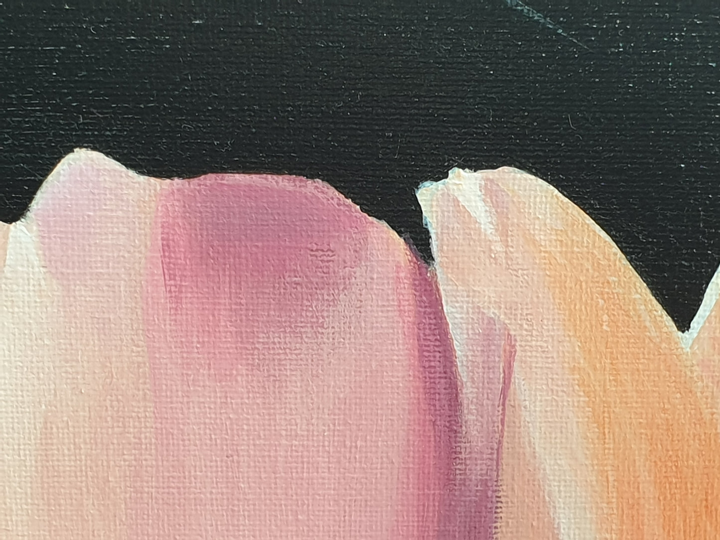 Peachy rose, 50x50cm