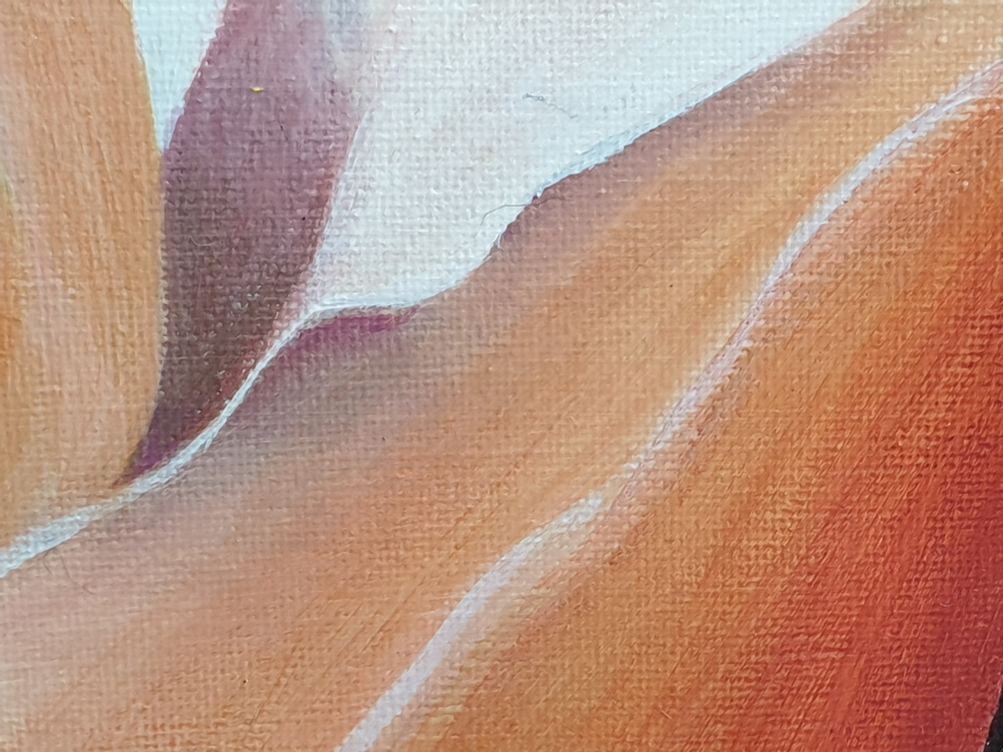 Peachy rose, 50x50cm