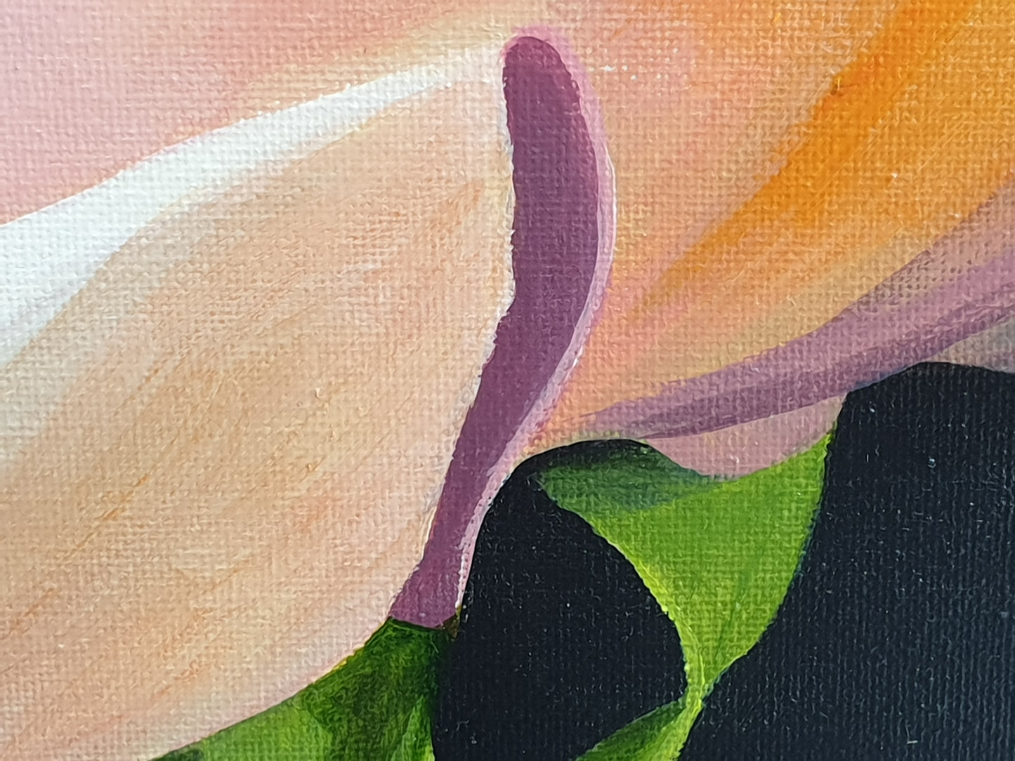 Peachy rose, 50x50cm