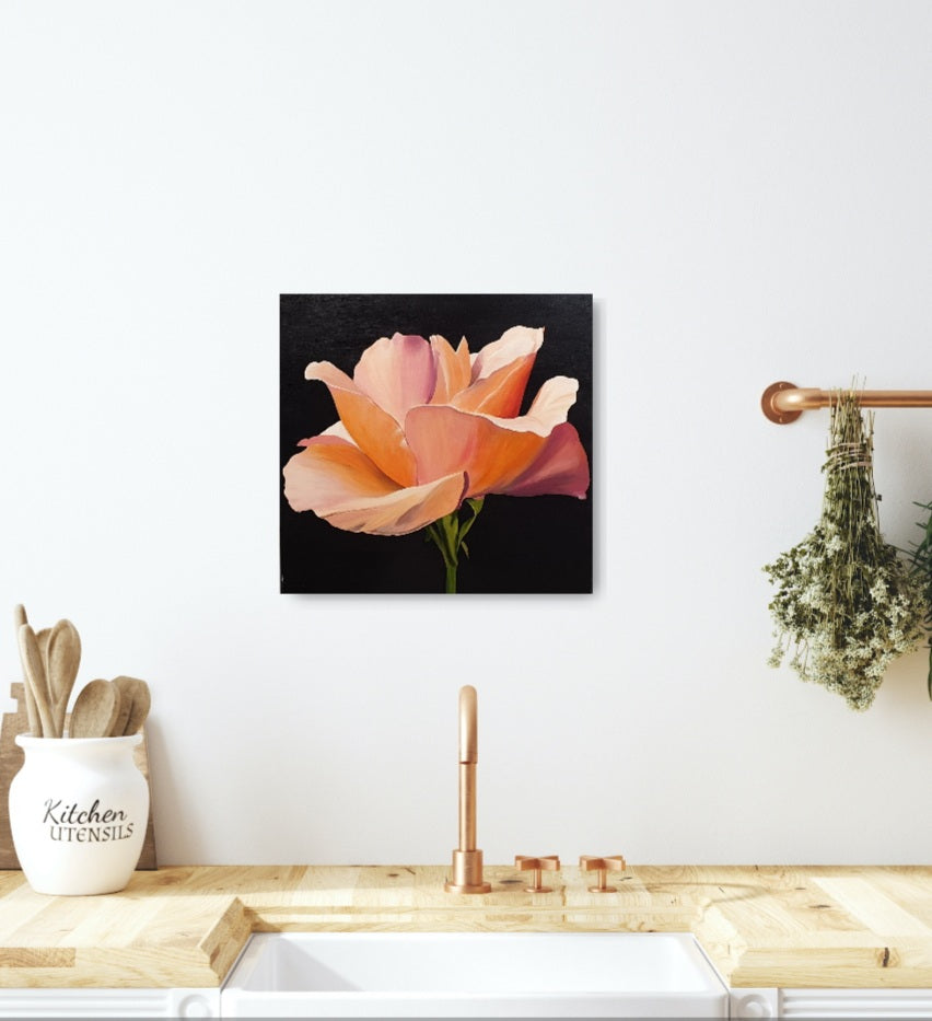 Peachy rose, 50x50cm