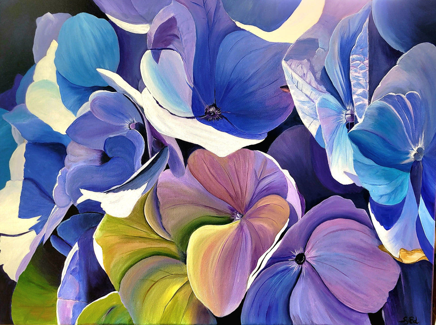 Light on blue Hydrangea, 60x80 cm