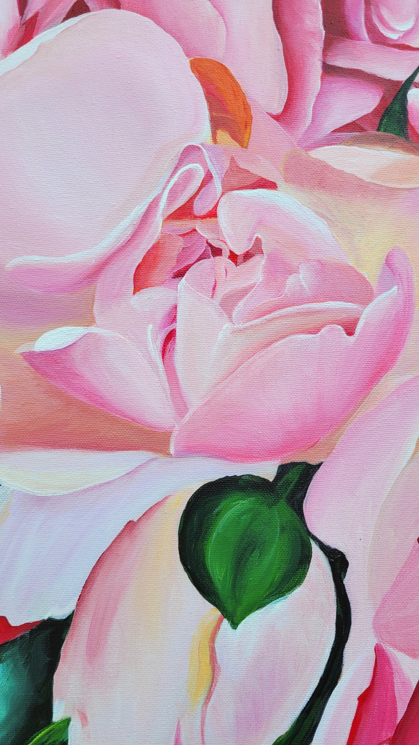 Abundancia de rosas trepadoras, 80x120 cm