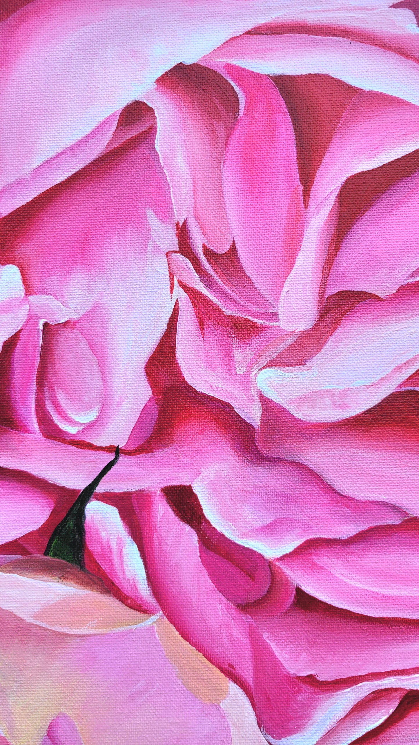 Abundancia de rosas trepadoras, 80x120 cm