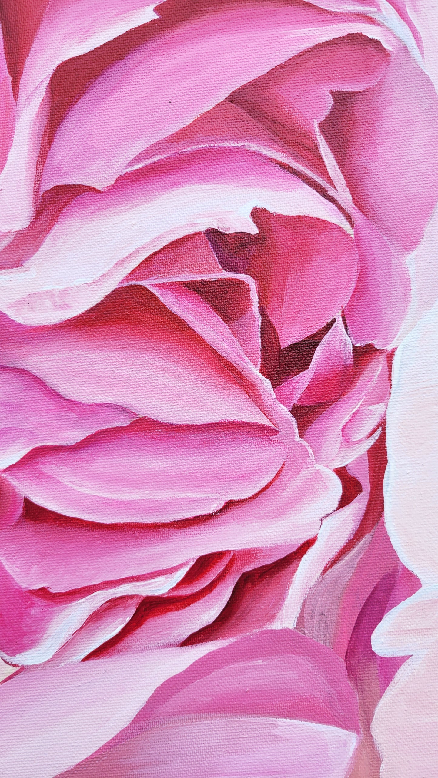 Abundancia de rosas trepadoras, 80x120 cm
