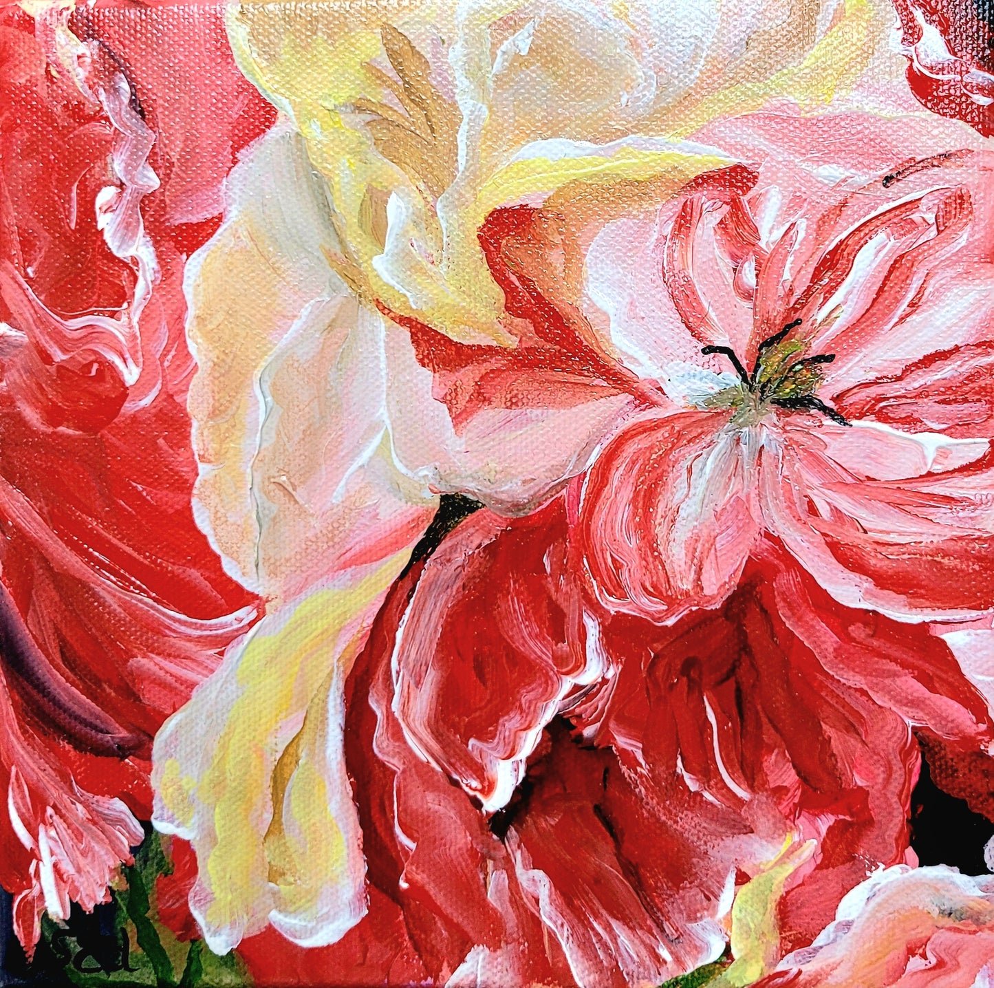 Valentine bloom III, 20x20 cm