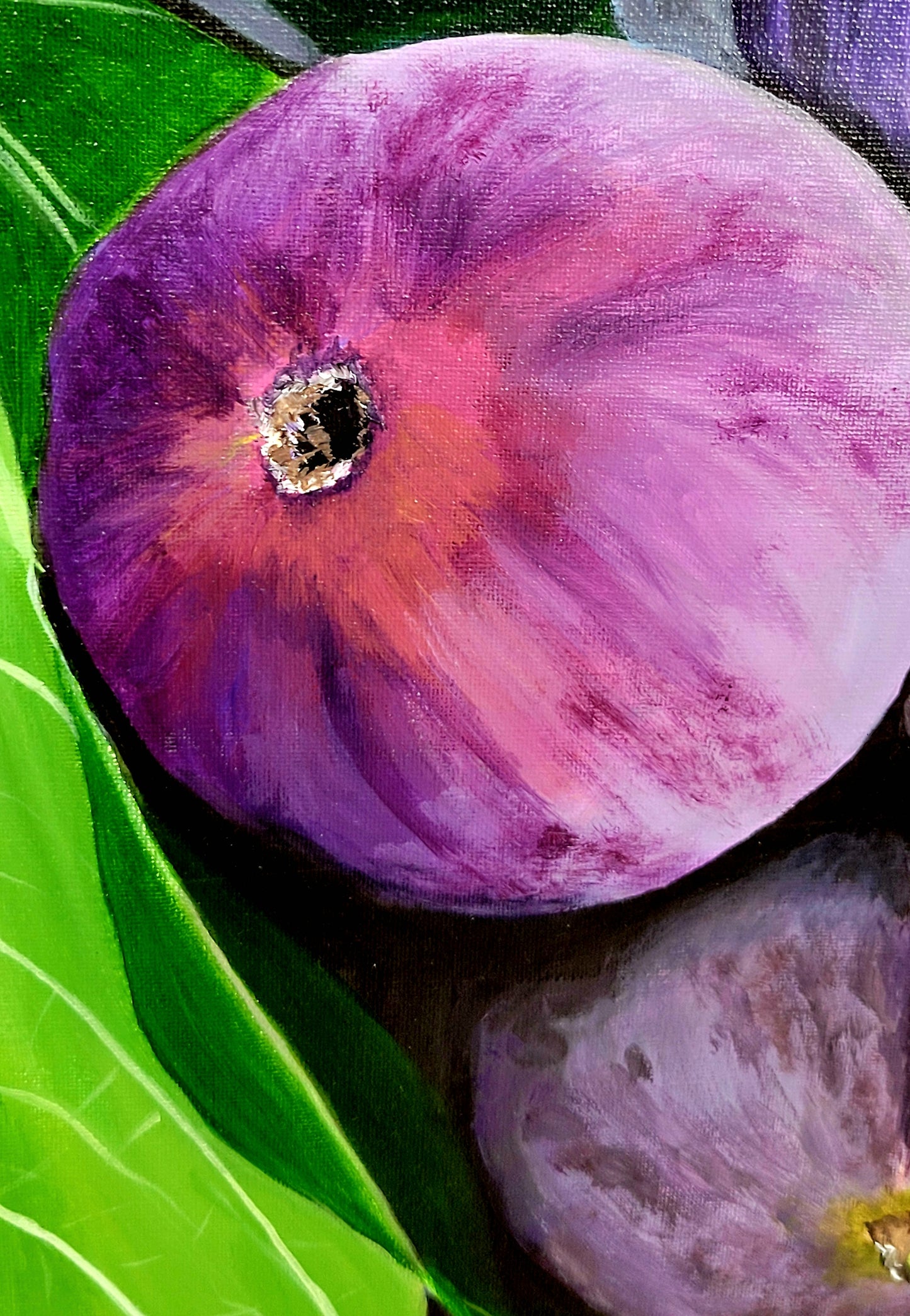 Barossa Figs, 50x50 cm