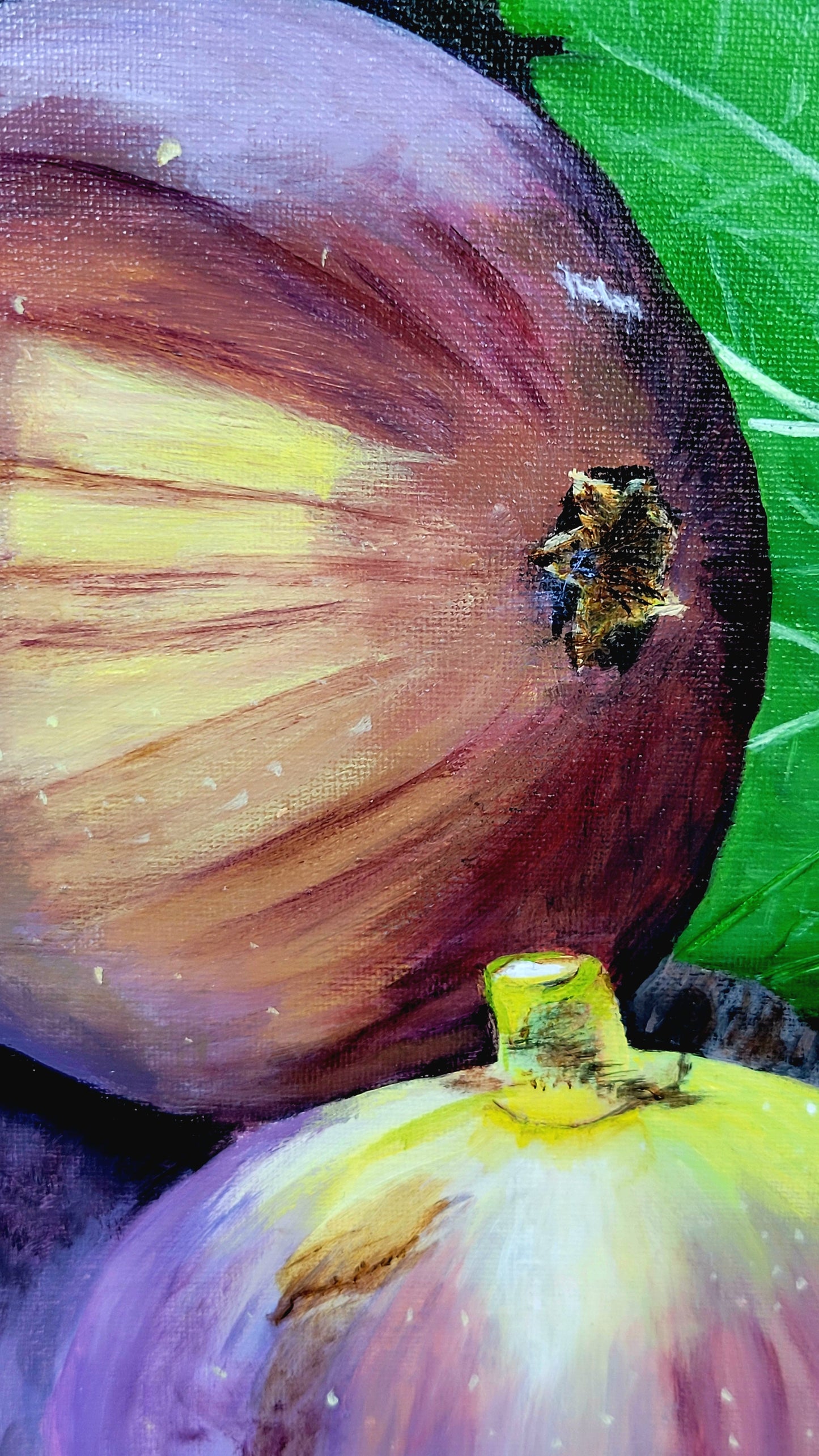 Barossa Figs, 50x50 cm