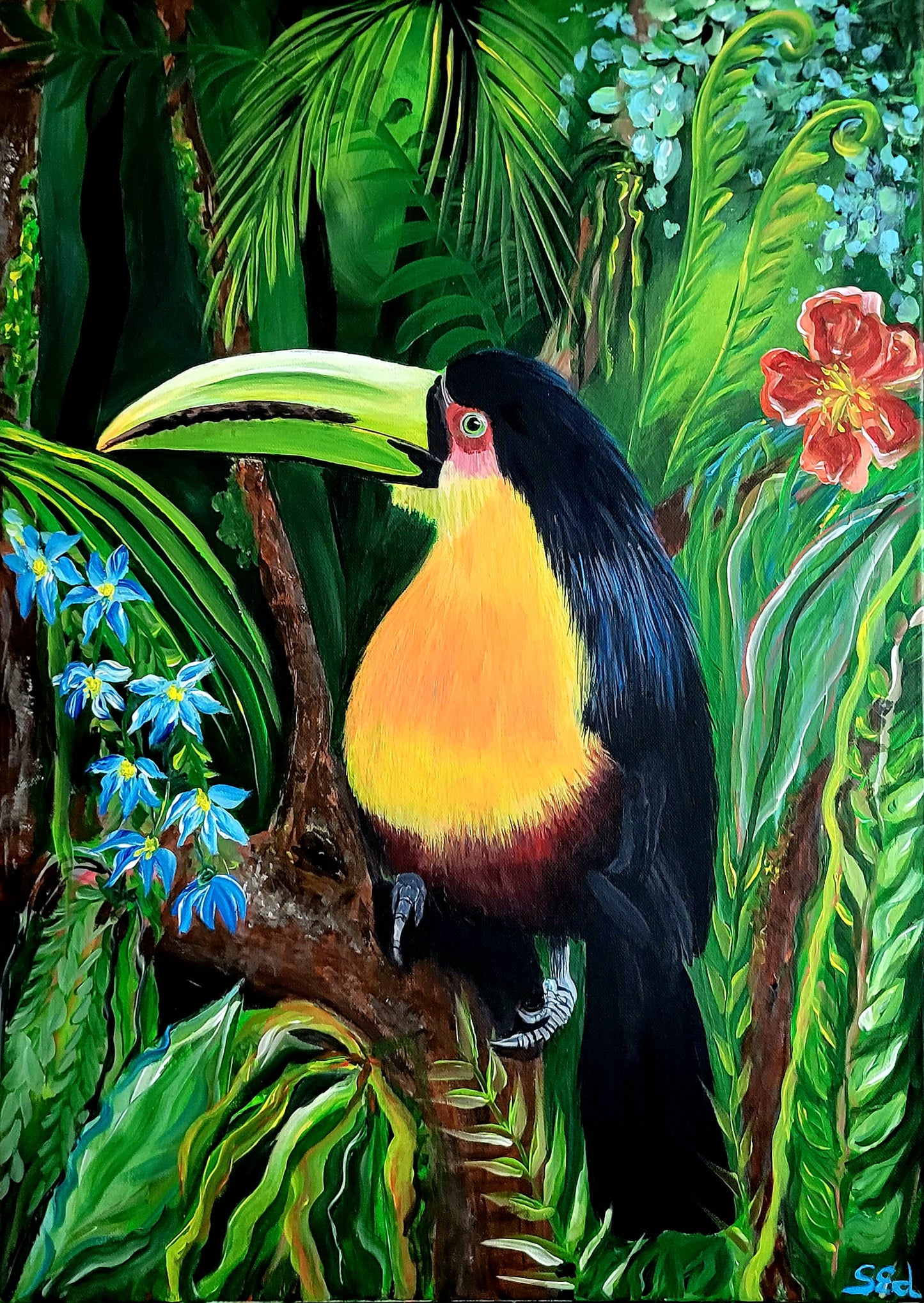 Jungle tucan, 70x50 cm