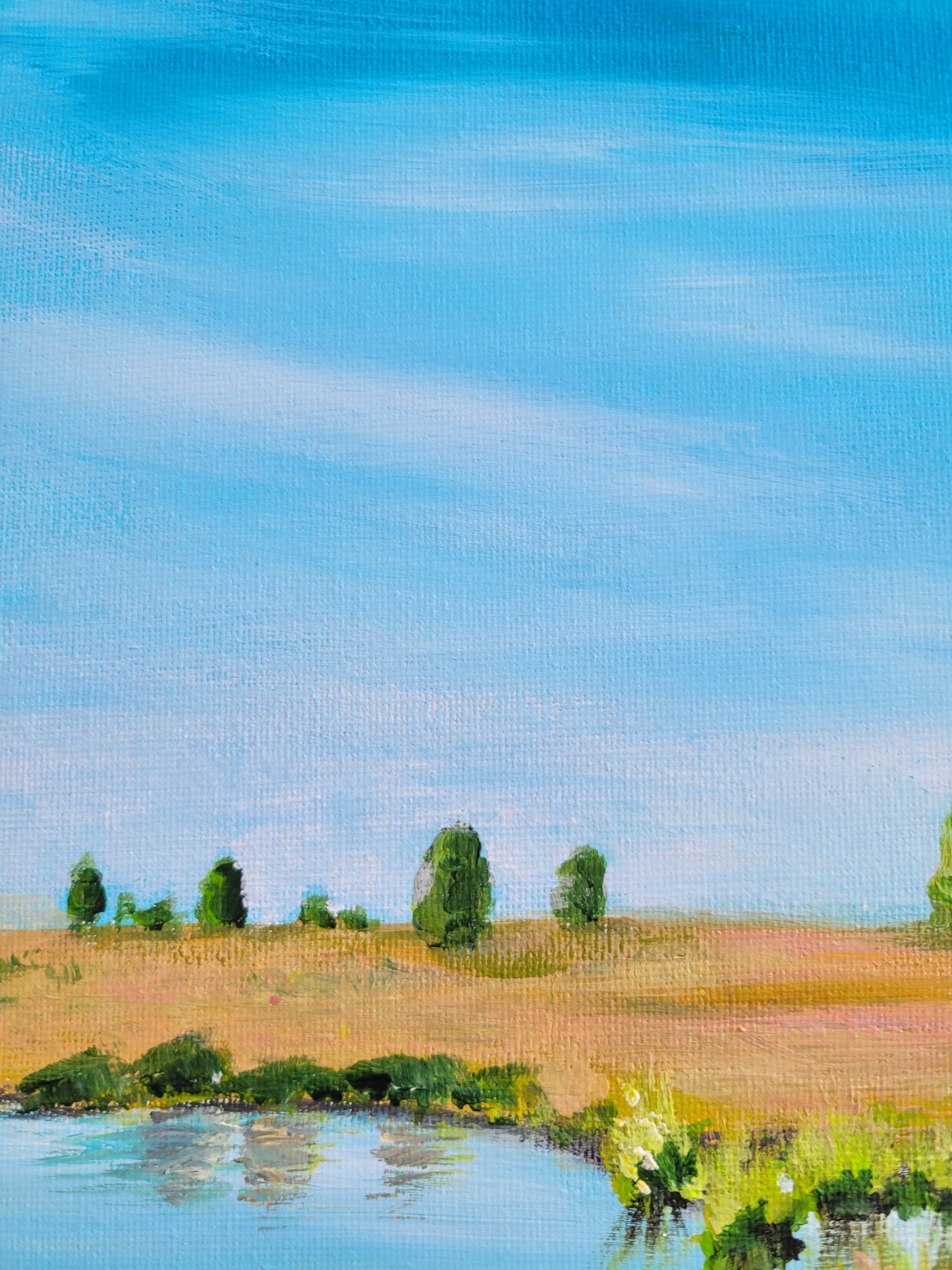 ´Brackvenn Belgique, 40x40cm