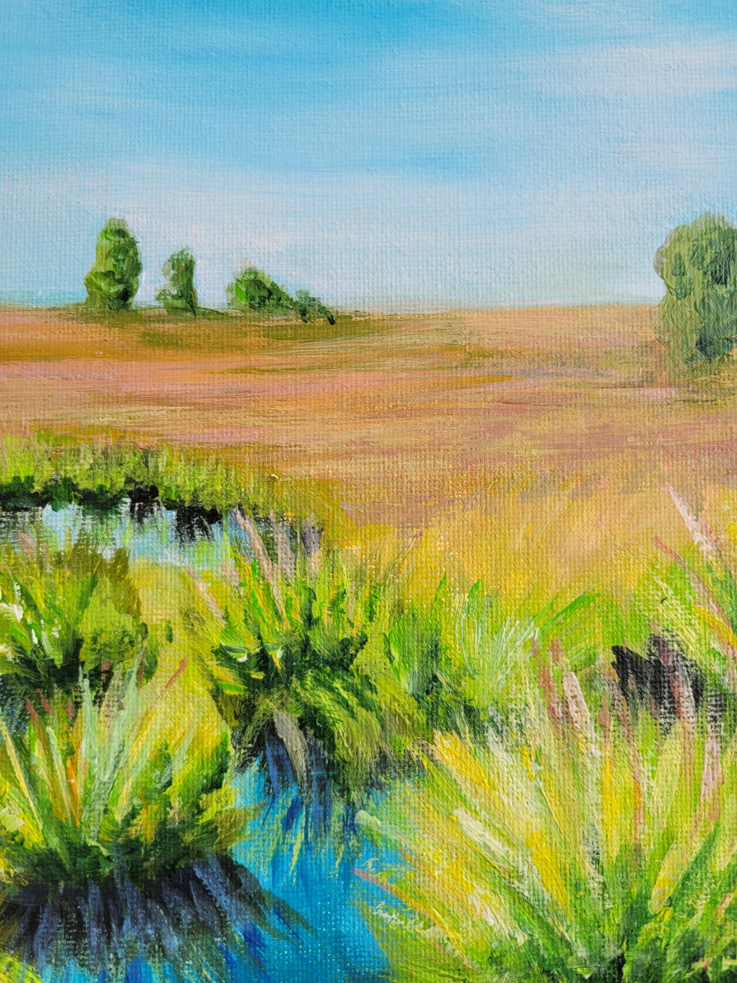 ´Brackvenn Belgique, 40x40cm