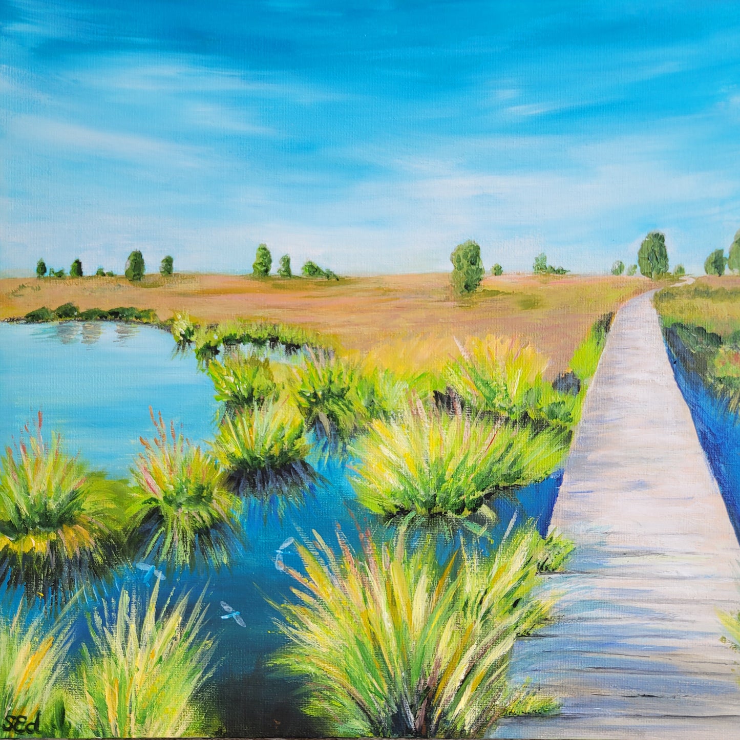 ´Brackvenn Belgique, 40x40cm